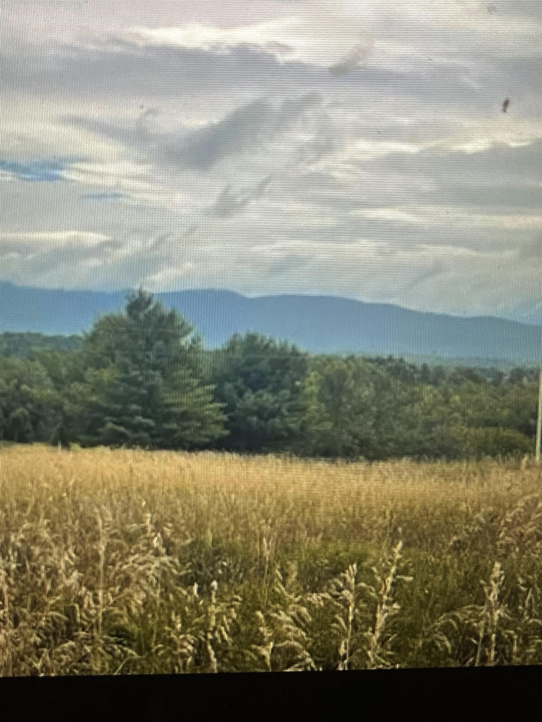 625 Route 30 Lot #2  Cornwall, VT Photo