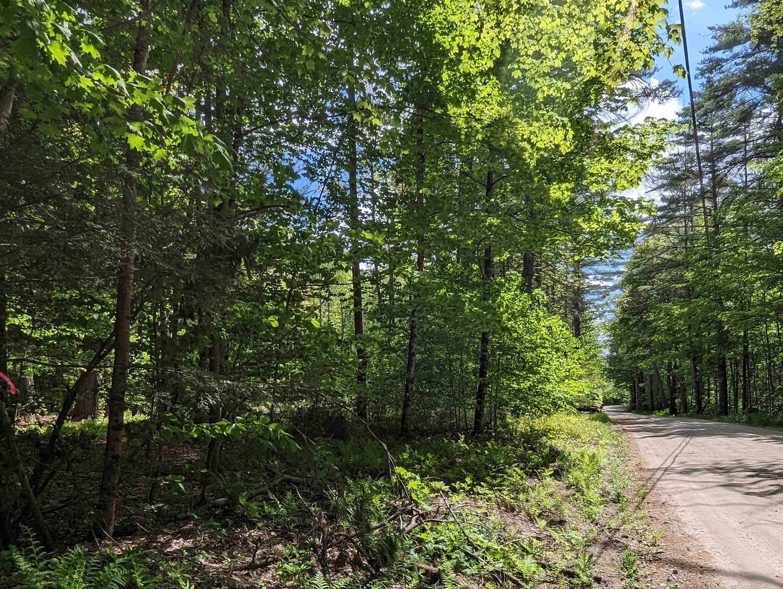 Cornish NH 03745 Land for sale $List Price is $60,000