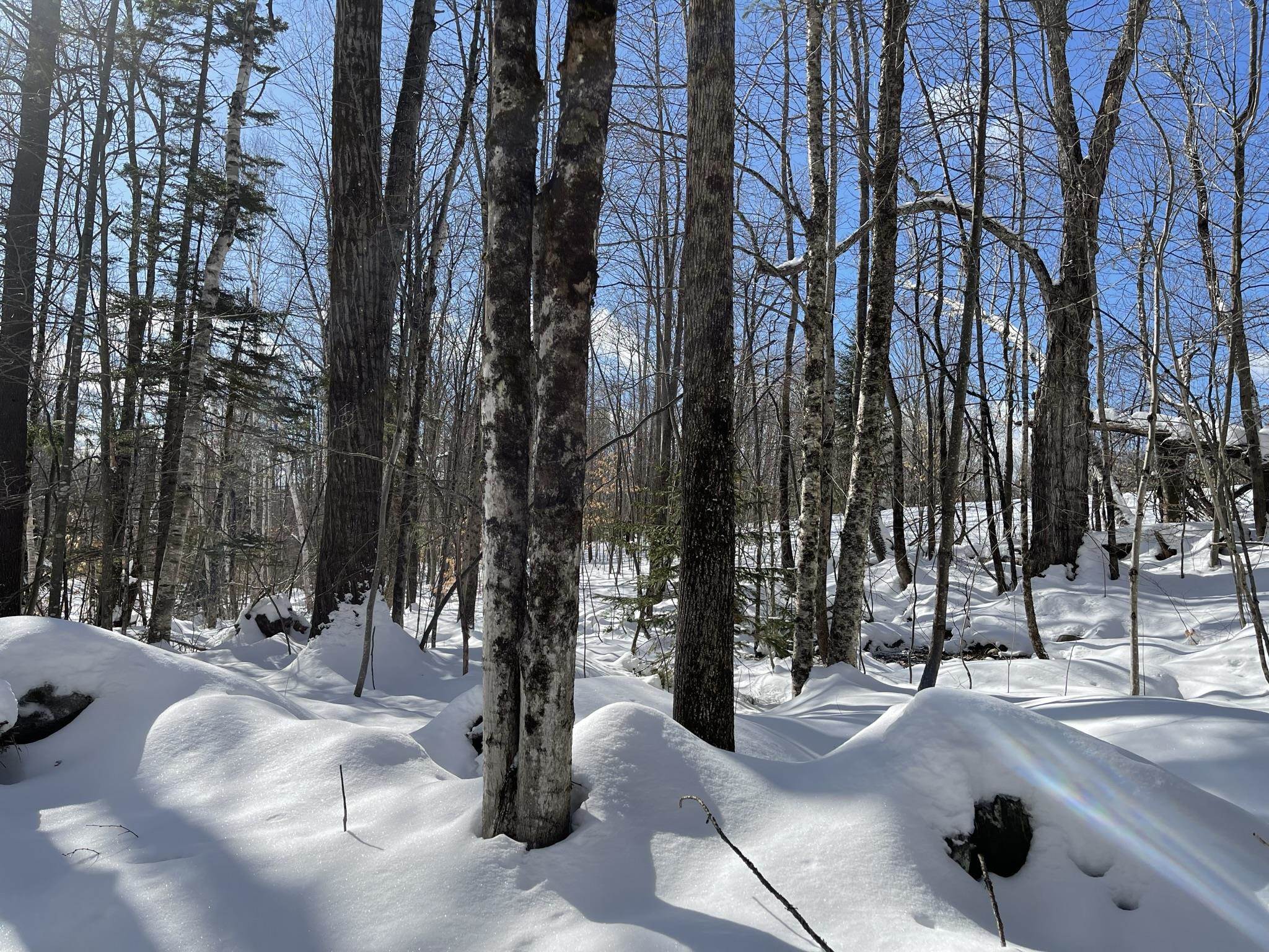 Windham VT Land / Acres For Sale page 1