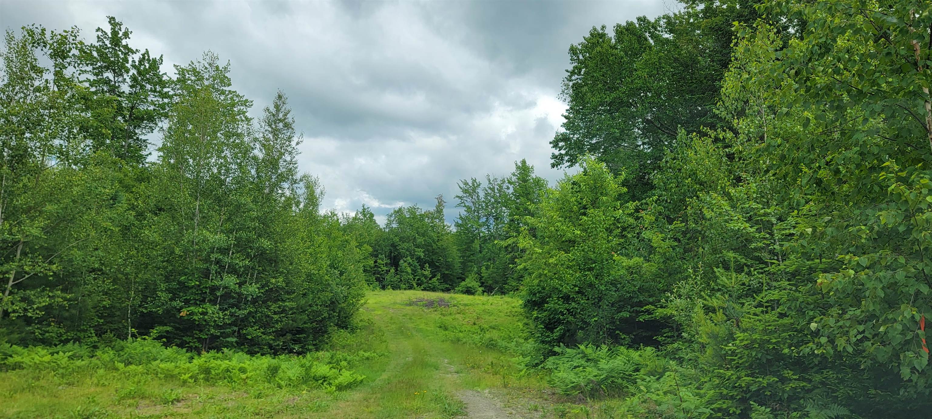 Lot 12.1 Gene's Road Whitefield, NH Photo