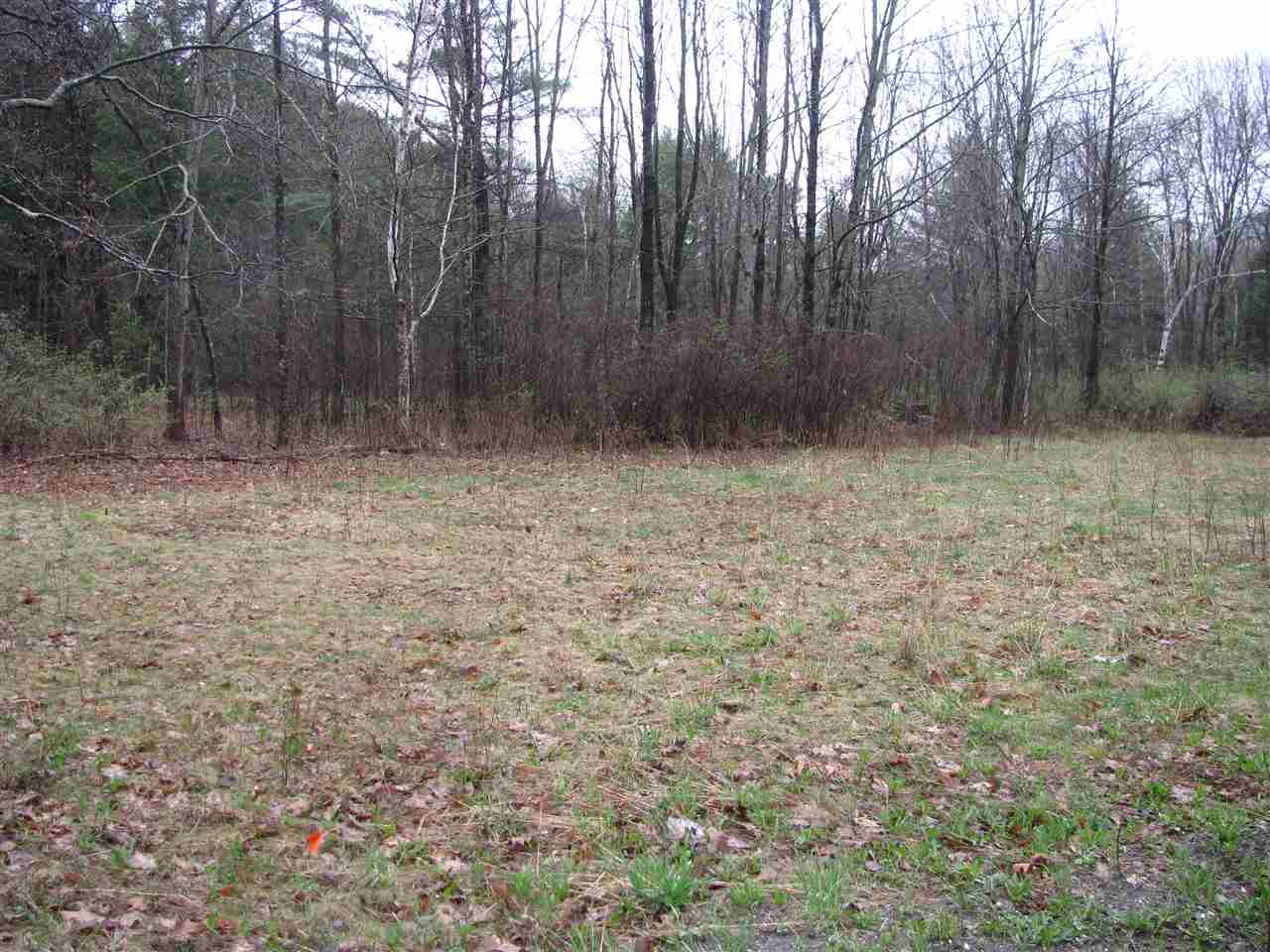 Pretty country setting! This 3 acre parcel of...