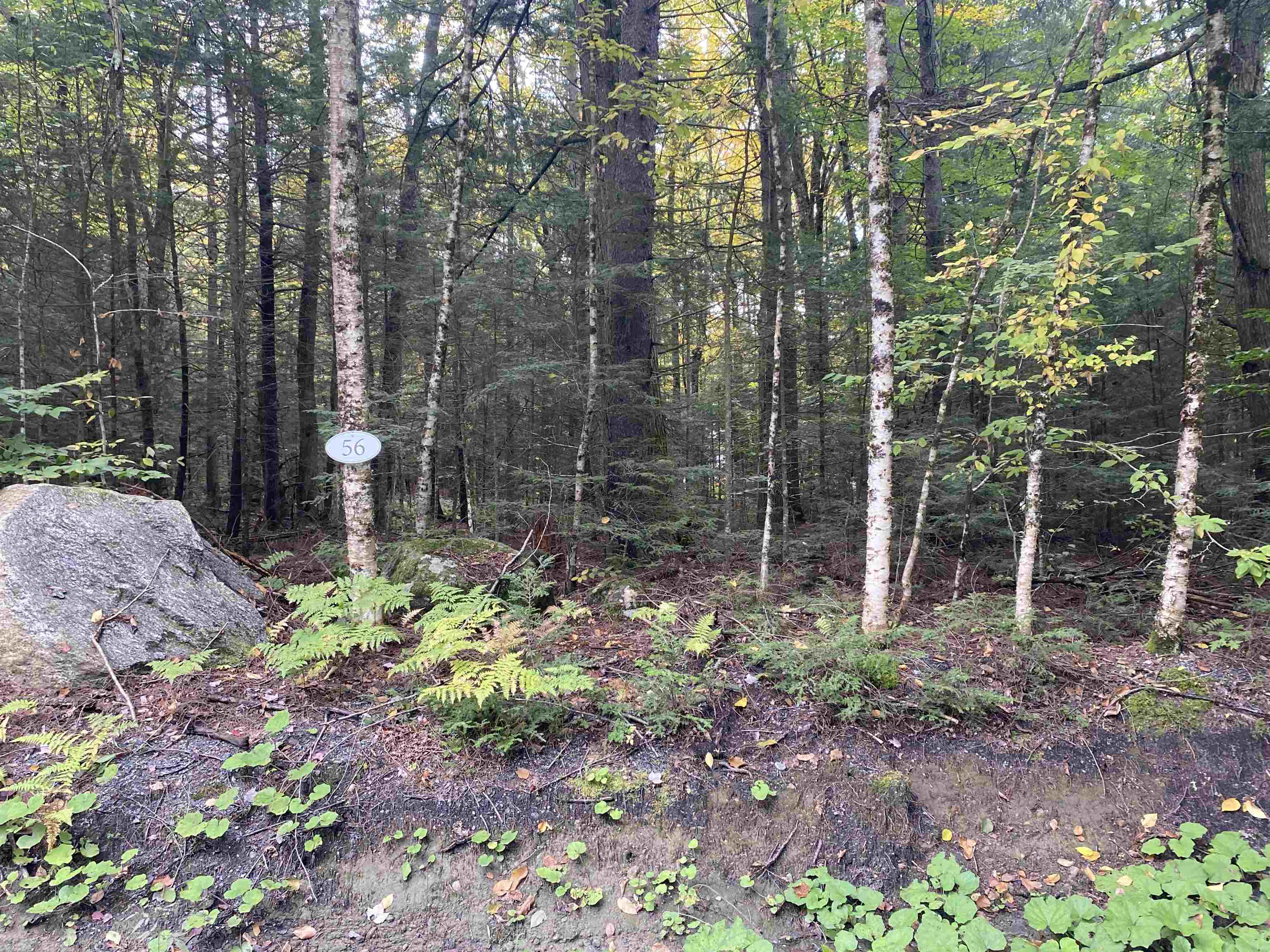 Village of Eastman in Town of Grantham NH  03753 Land for sale $List Price is $16,000