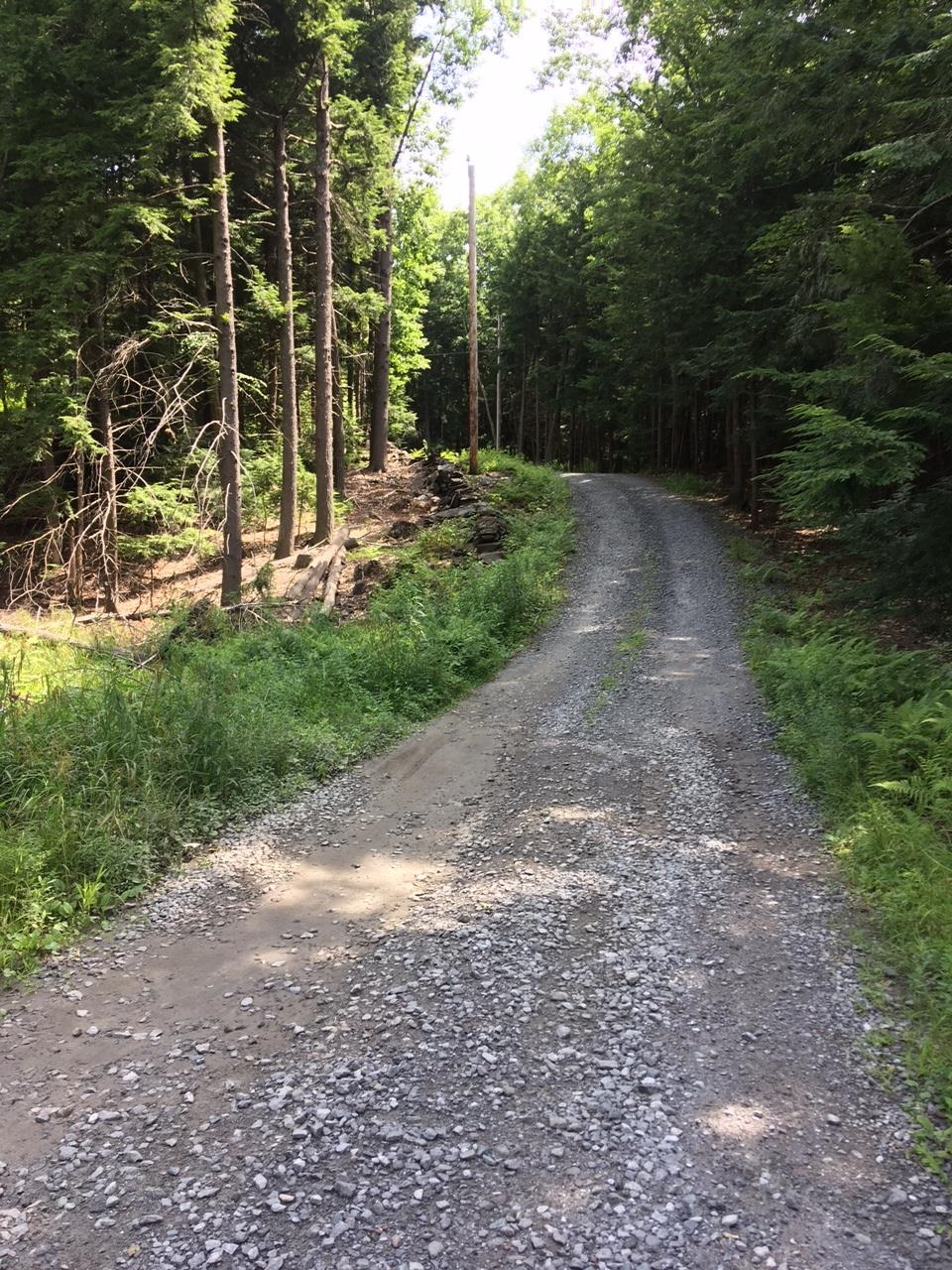 Photo of 0 Old Ledge Road Westminster VT 05159