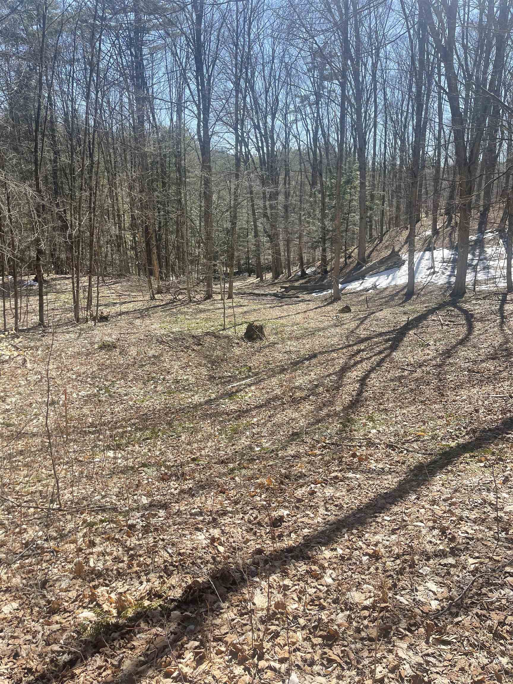 Come build your dream home on this 67.63 acres of...