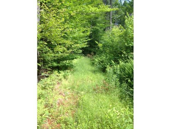 Weathersfield VT 05030 Land for sale $List Price is $89,000