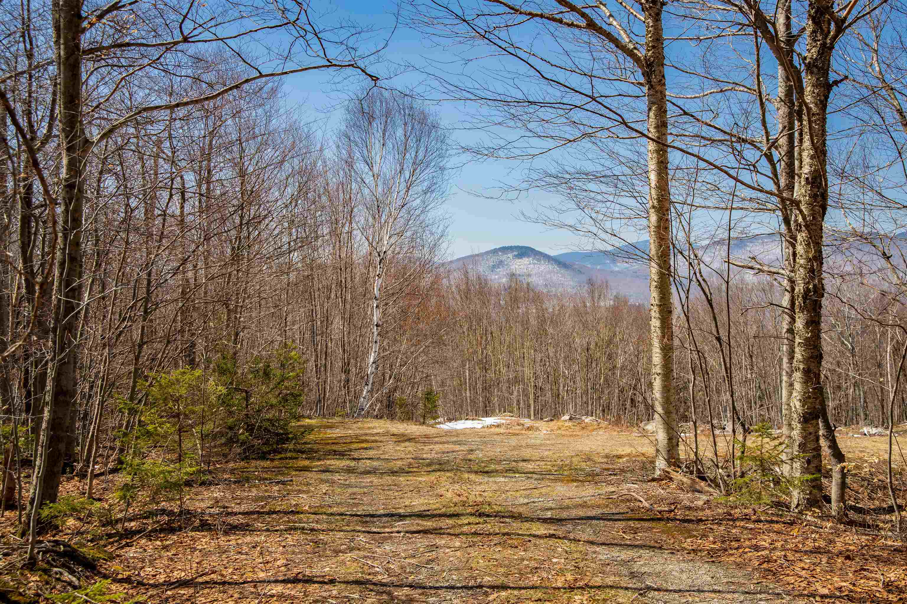 Vermont-Real-Estate-4949000-5