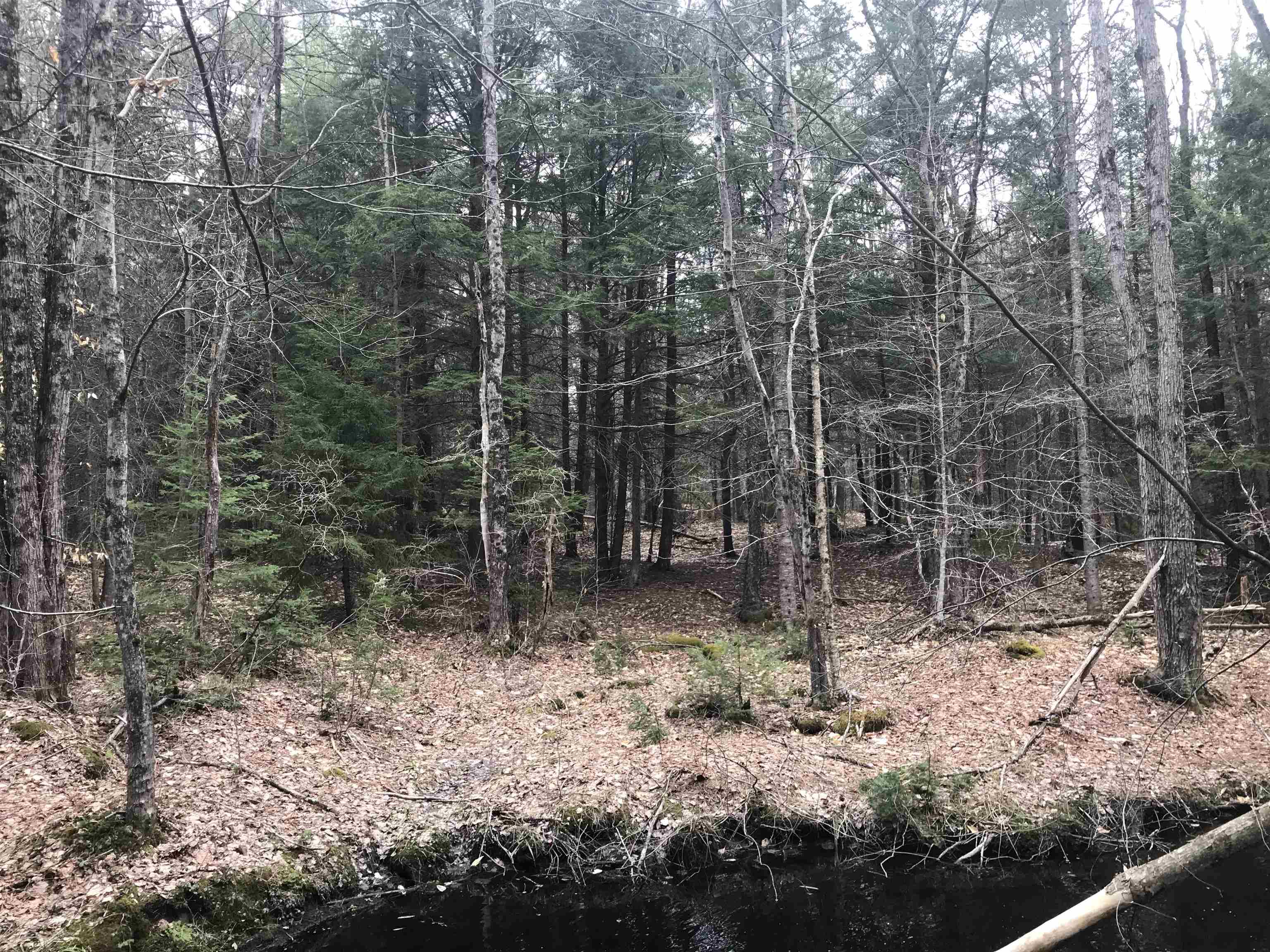 Lot 407-008 NH Route 123  Marlow, NH Photo