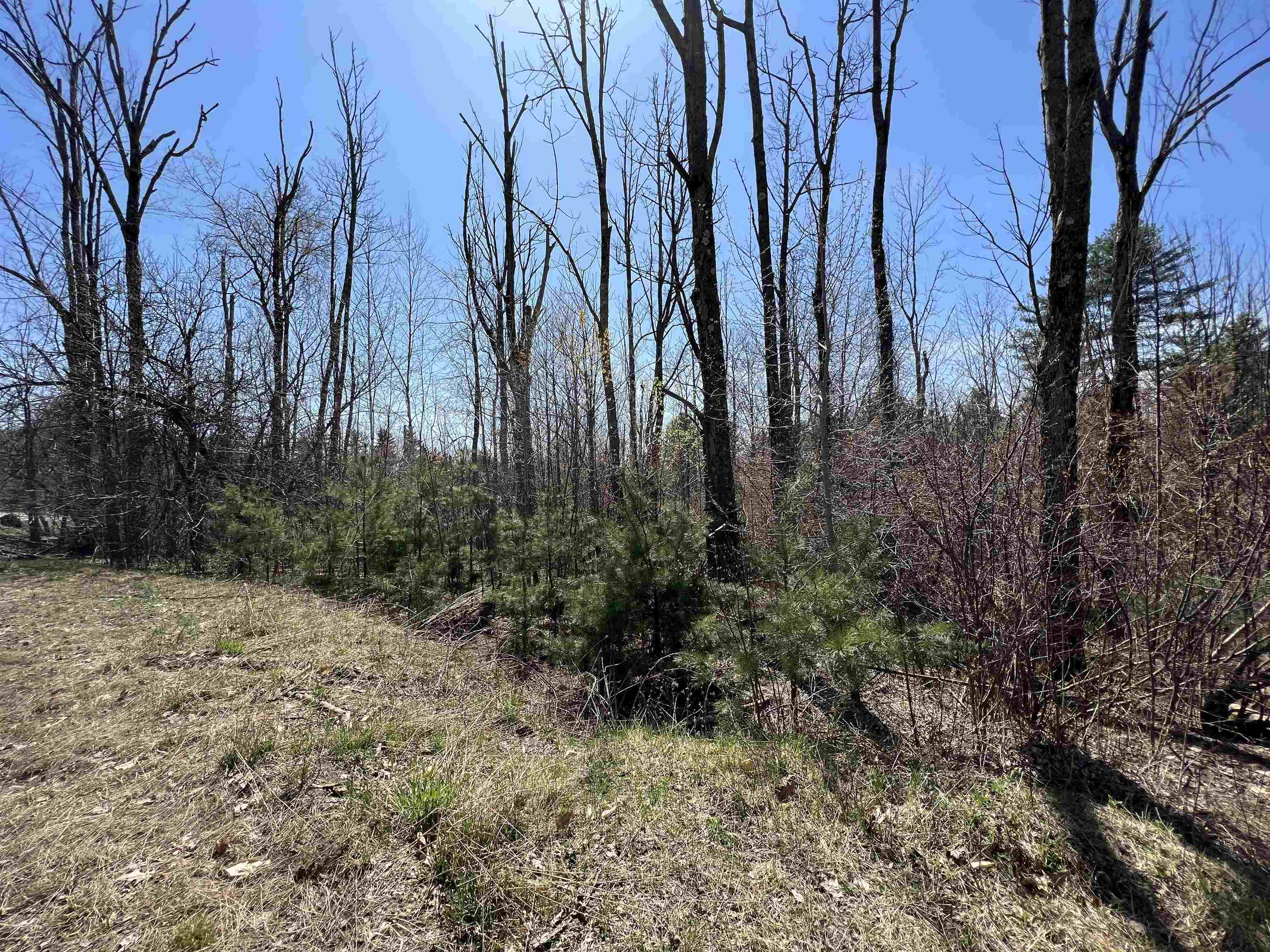 Lempster NH 03605 Land for sale $List Price is $65,000