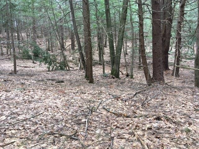 Westminster VT Land for sale $89,500 | 5 Acres  | Price Per Acre $0 
