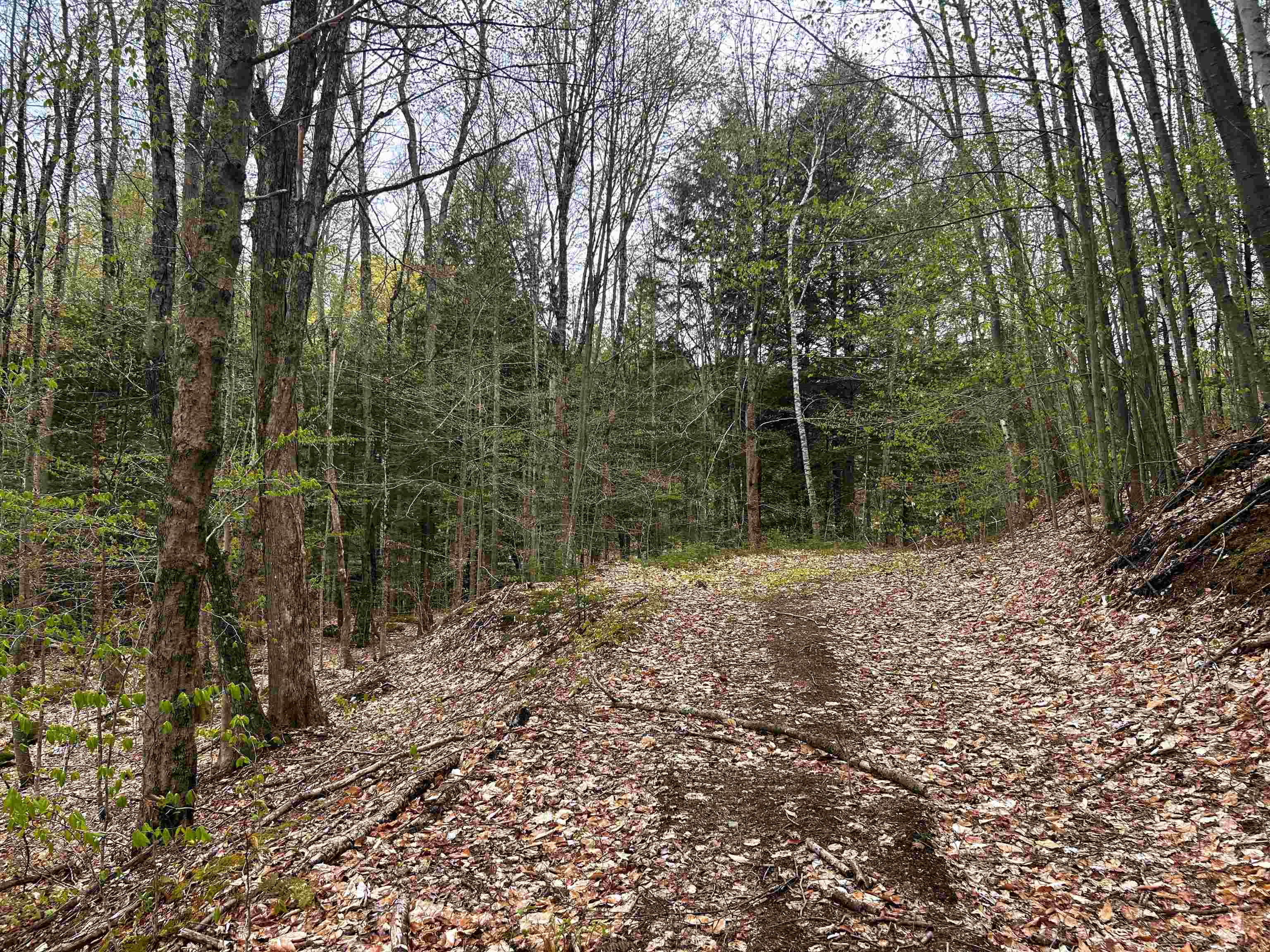 Weathersfield VT 05150 Land for sale $List Price is $35,000