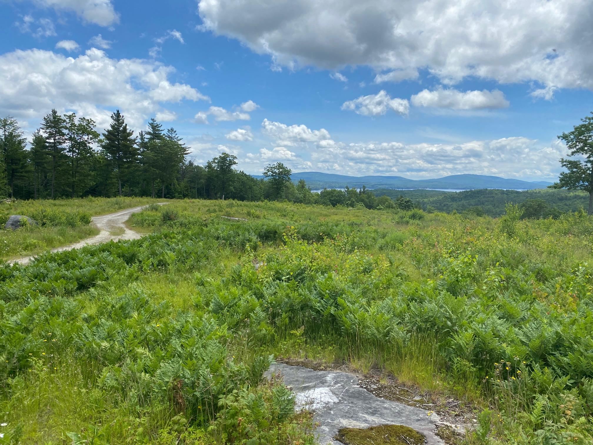 Sunapee NH 03782 Land for sale $List Price is $259,000