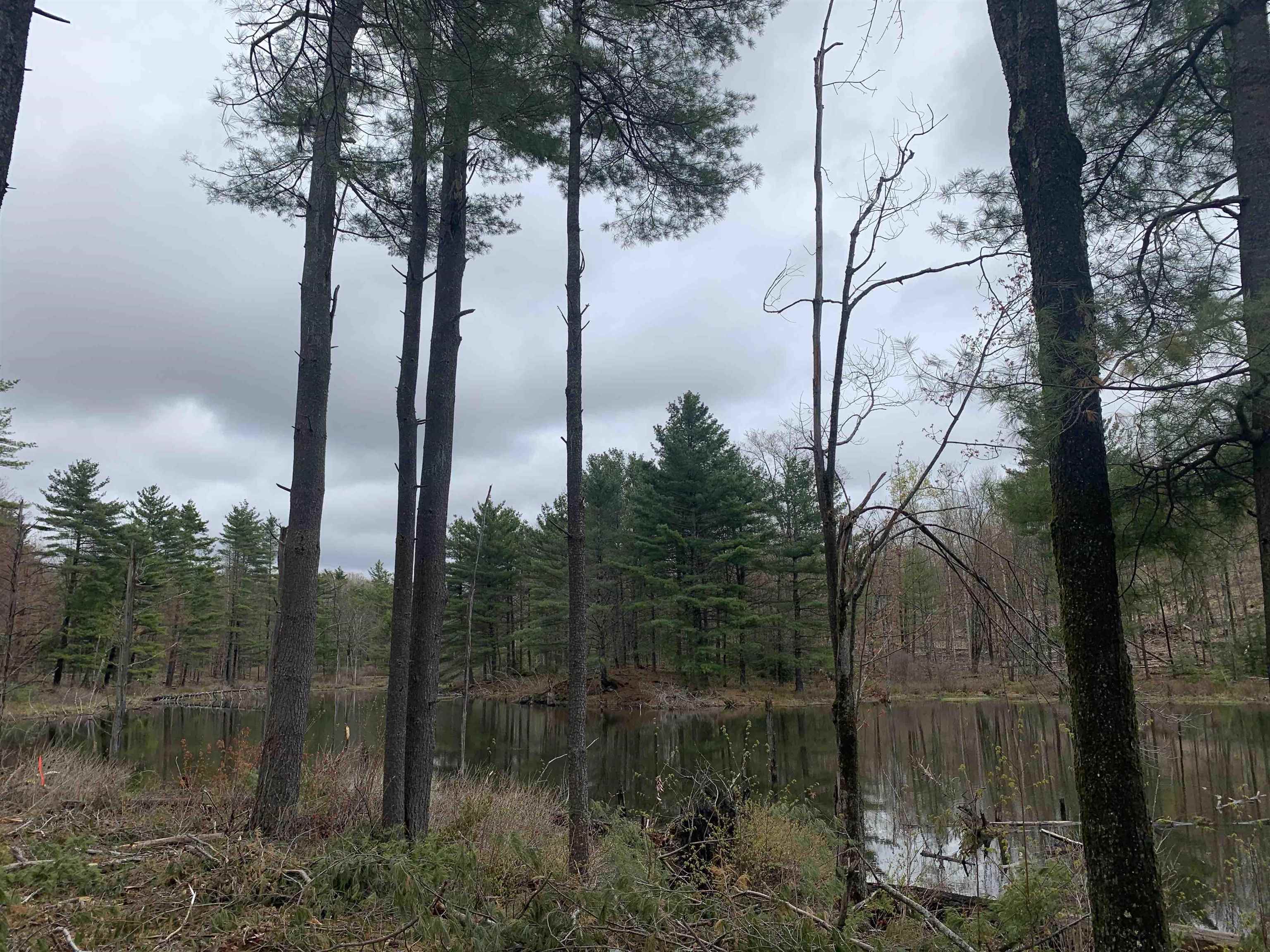 MAP 52 LOT 2A PRATT ROAD, Alstead, NH 03602 PrimeMLS