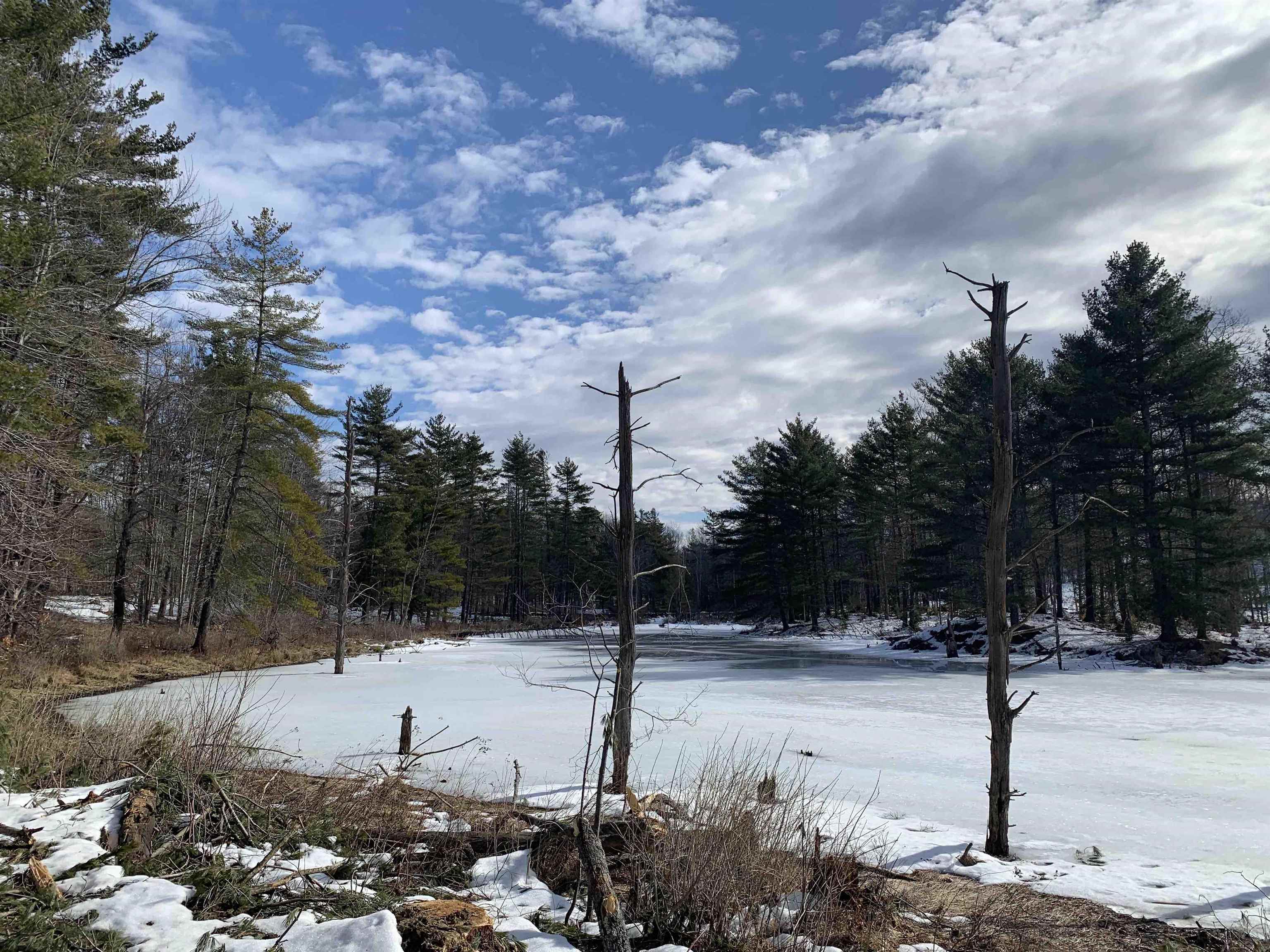 MAP 52 LOT 2A PRATT ROAD, Alstead, NH 03602 PrimeMLS
