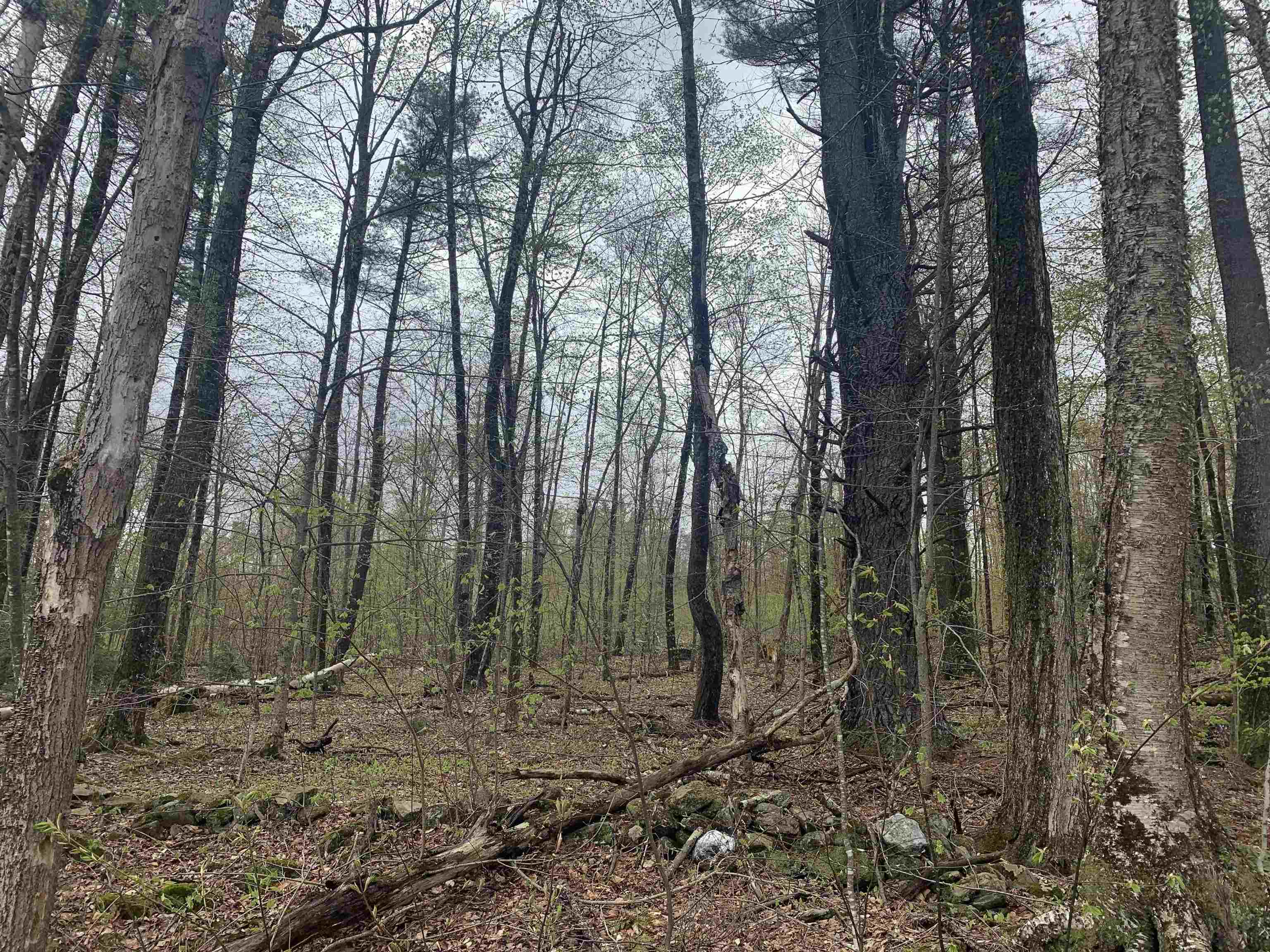 MAP 52 LOT 2C PRATT ROAD, Alstead, NH 03602 PrimeMLS