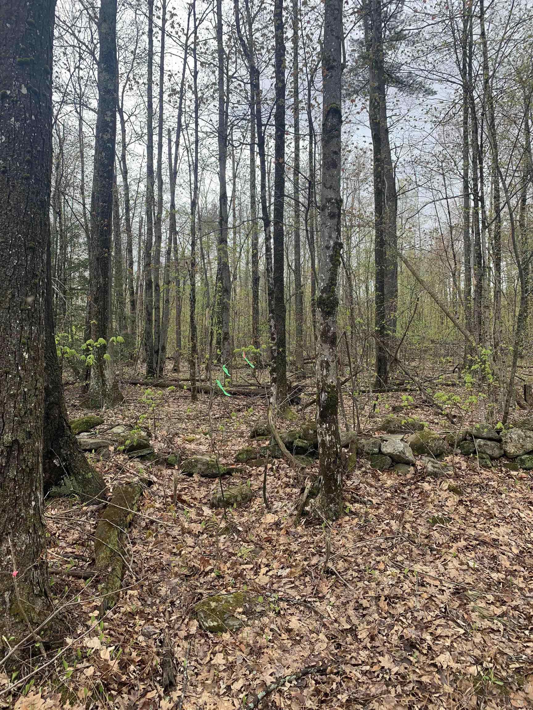 MAP 52 LOT 2C PRATT ROAD, Alstead, NH 03602 PrimeMLS