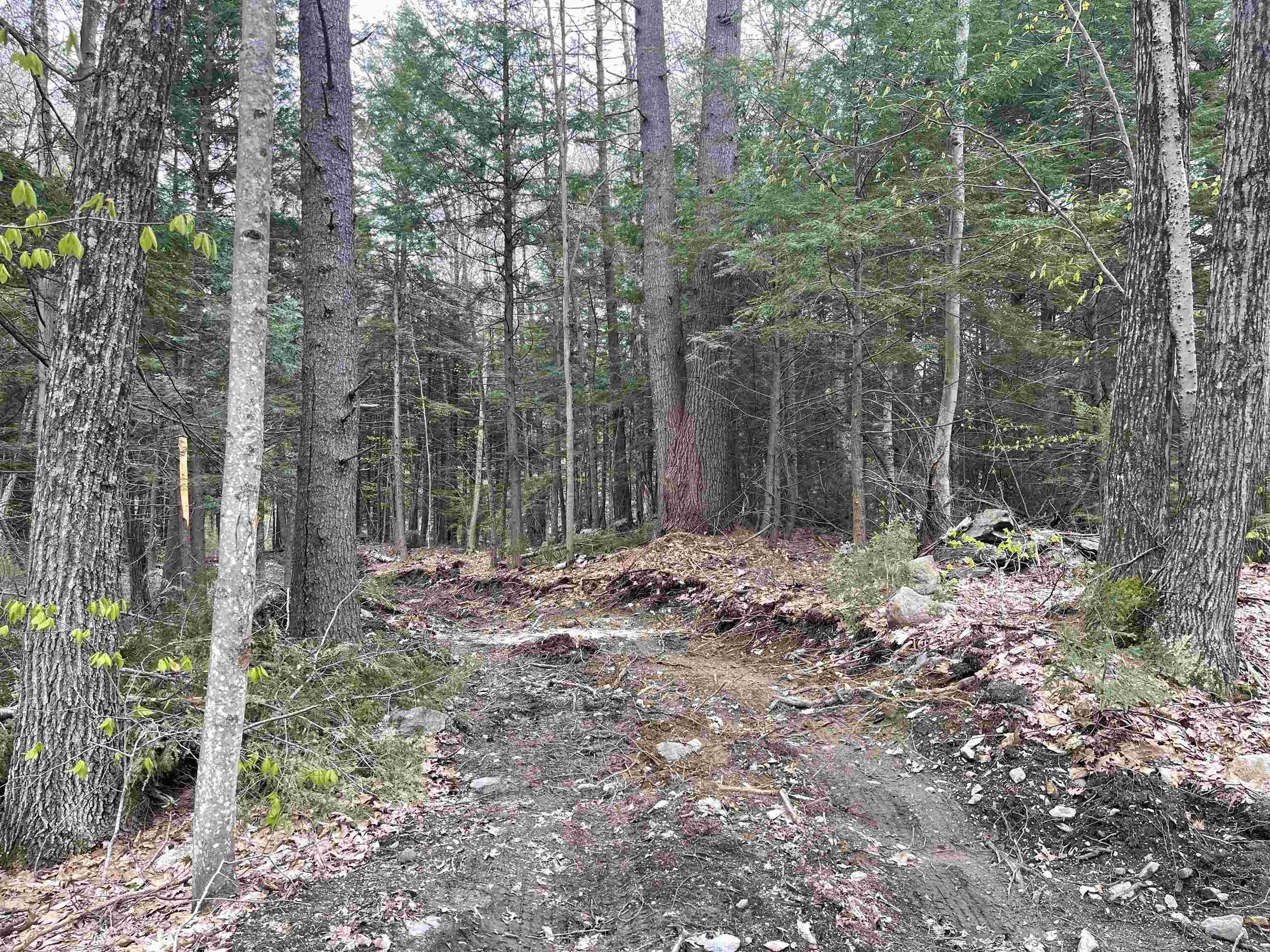Springfield VT 05156 Land for sale $List Price is $59,000