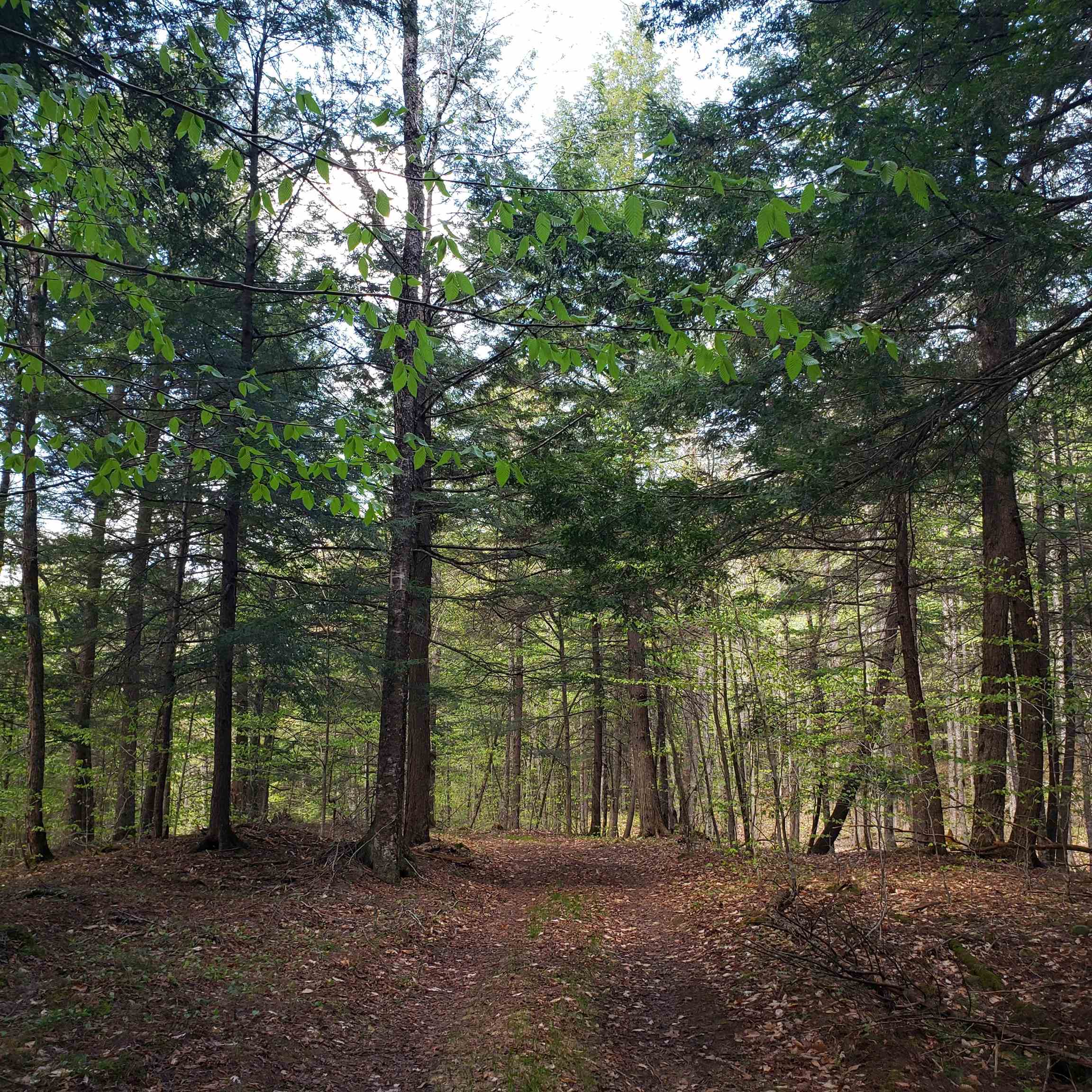 Bradford VT Land for sale $163,575 | 18 Acres  | Price Per Acre $0 
