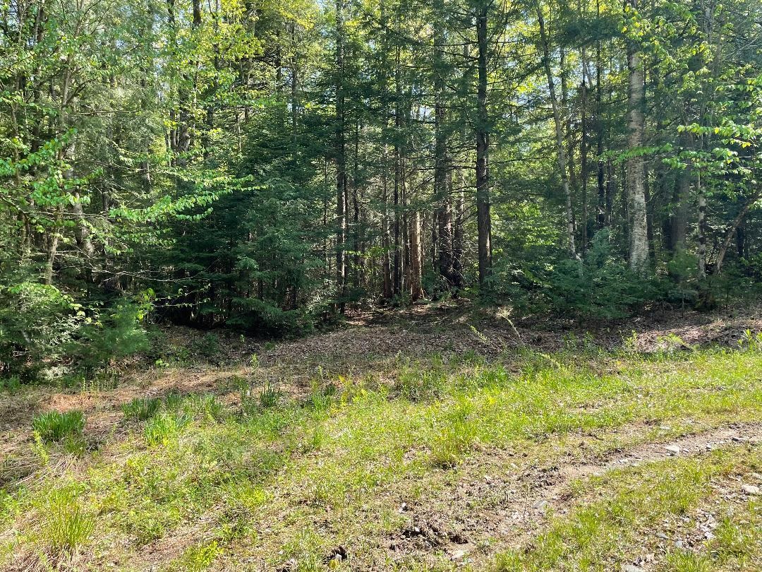 575 Collins Road, Halifax, VT 05358