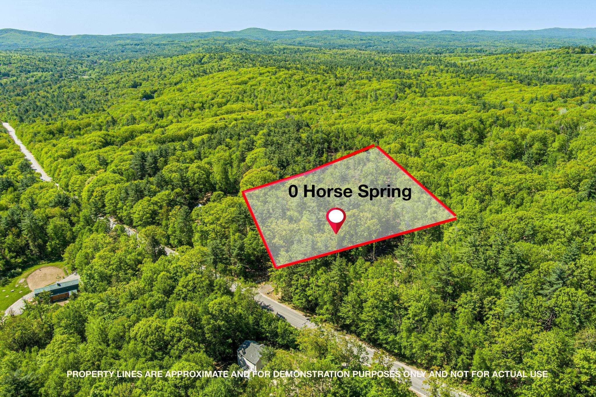 0 Horse Spring Hill Road168  Weare, NH Photo