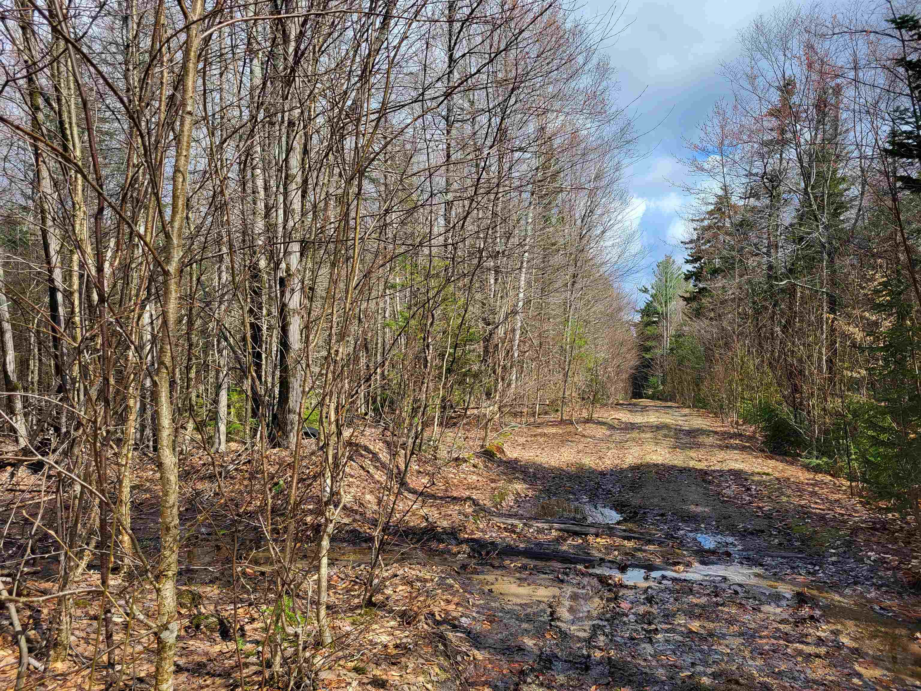 Lot 409-29 Knowles Hill West Road Alexandria, NH Photo
