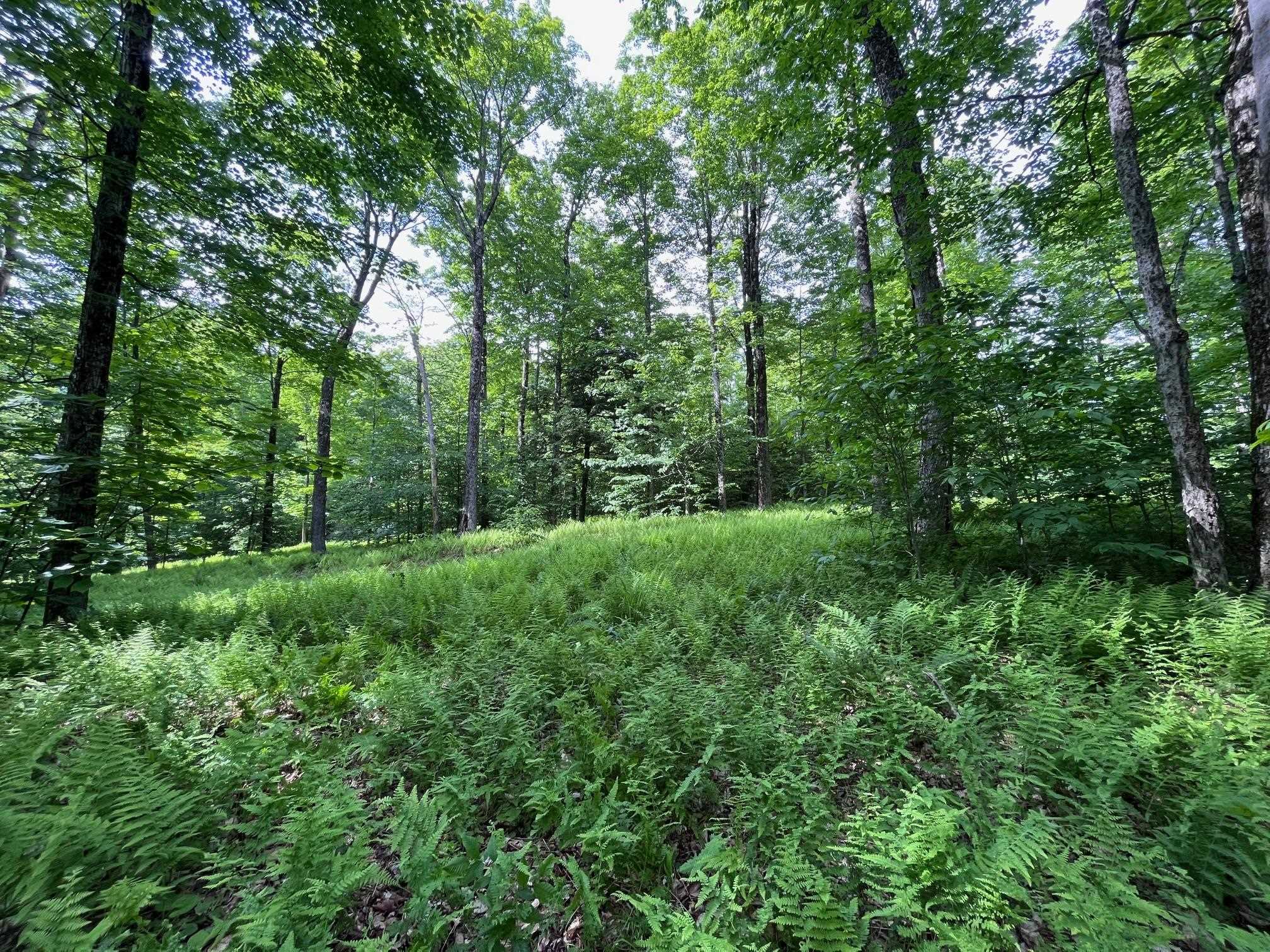 This beautiful and very private 39 acre parcel of...
