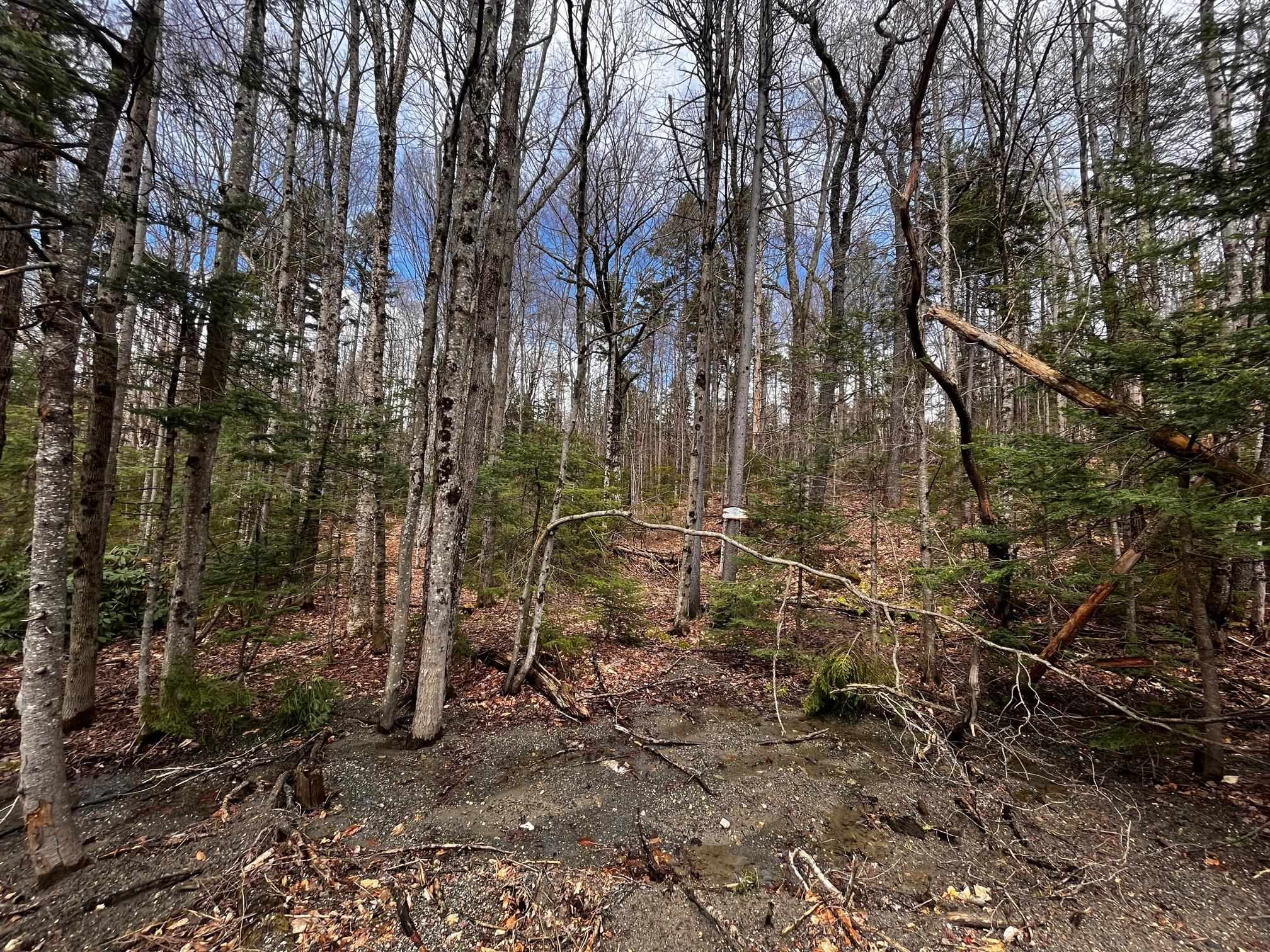Nice 1 acre lot in Dover Hills, not far from...
