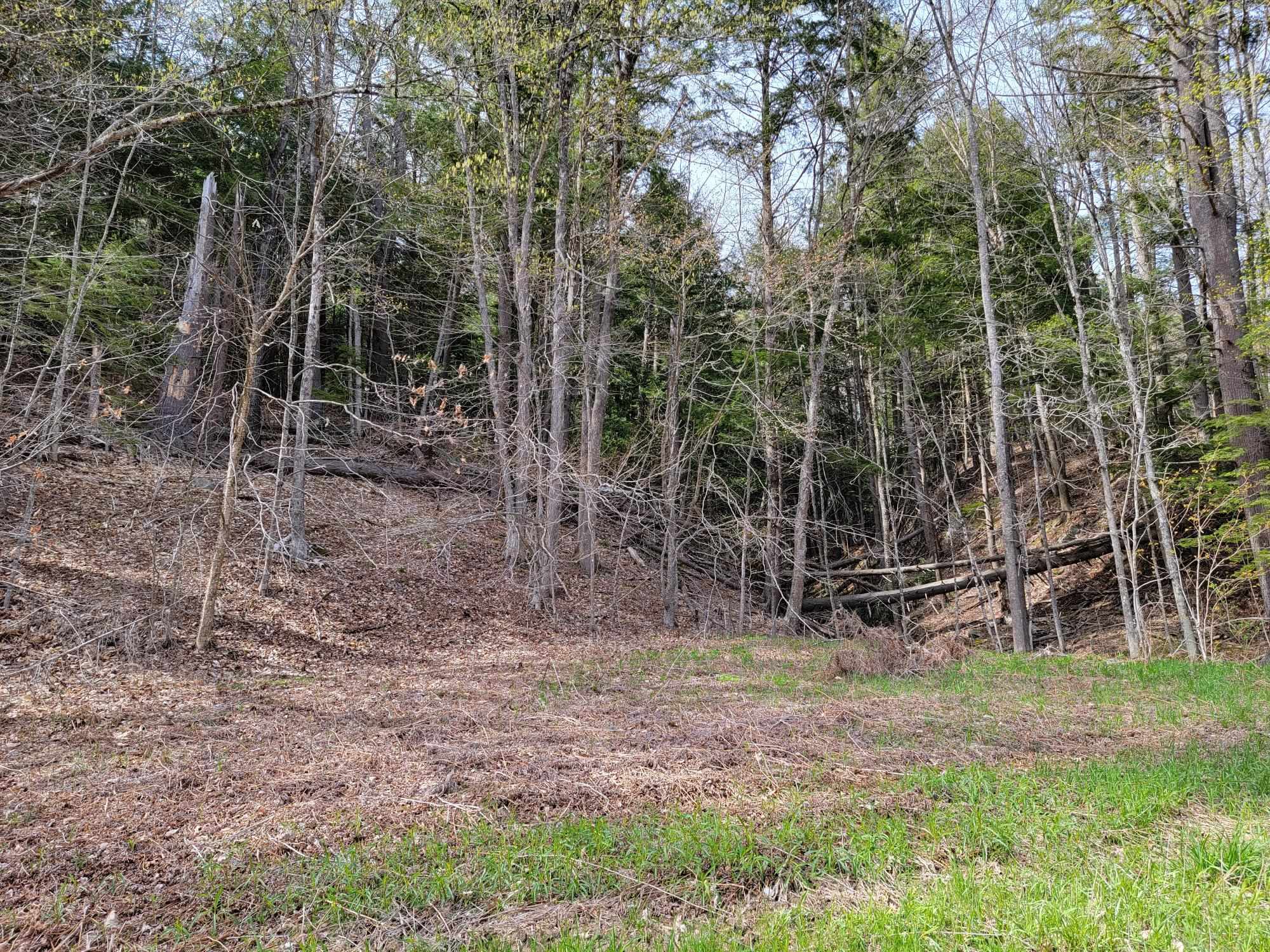 Acworth NH 03601 Land for sale $List Price is $25,000