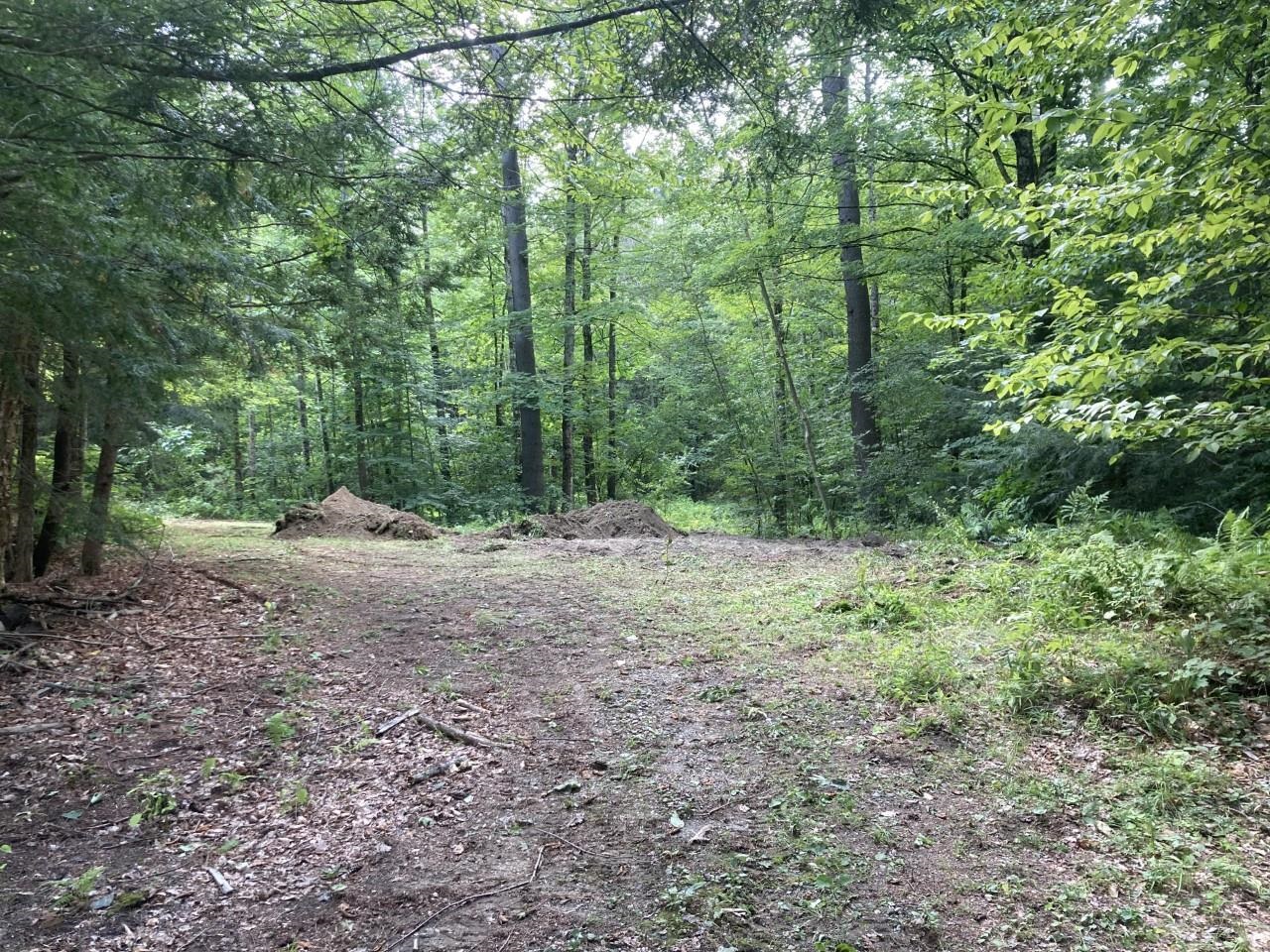 Weathersfield Vermont Land / Acres between 0 and 30000000 dollars page 1