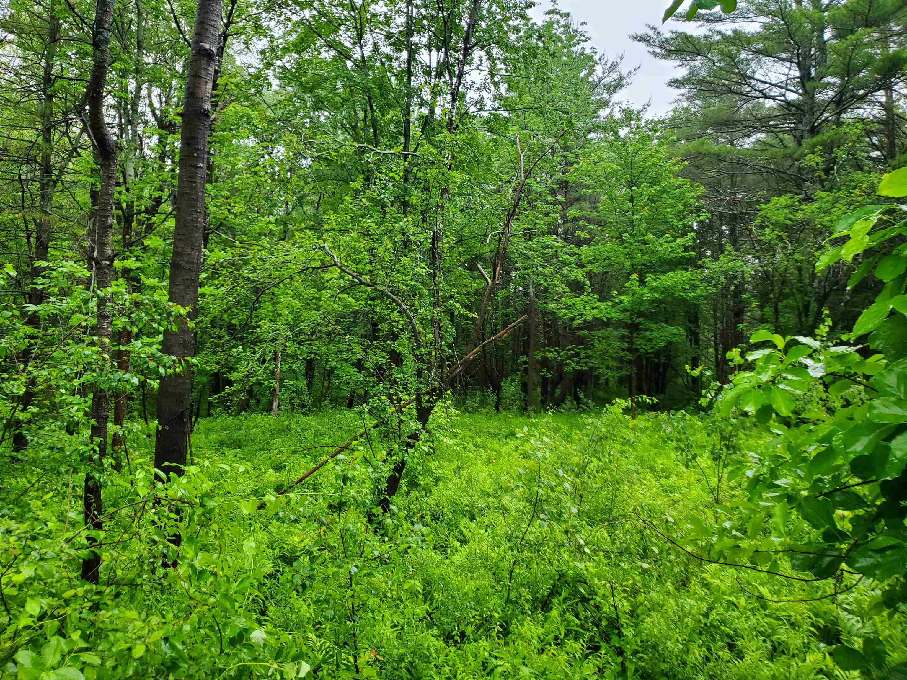 Croydon NH Land / Acres For Sale page 1