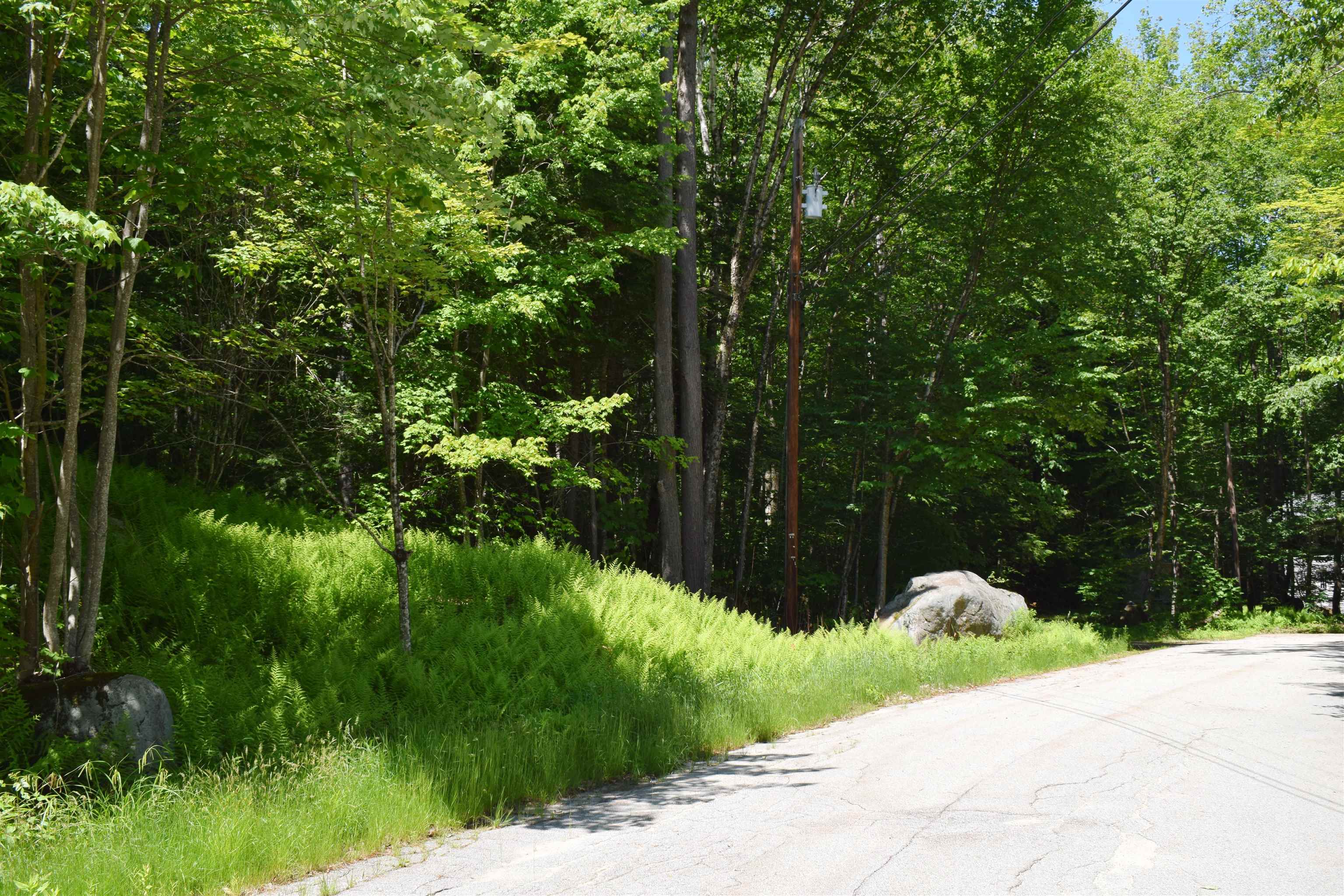 44 Black Bear RoadLot #21 on the recorded subdivision plan.  Woodstock, NH Photo
