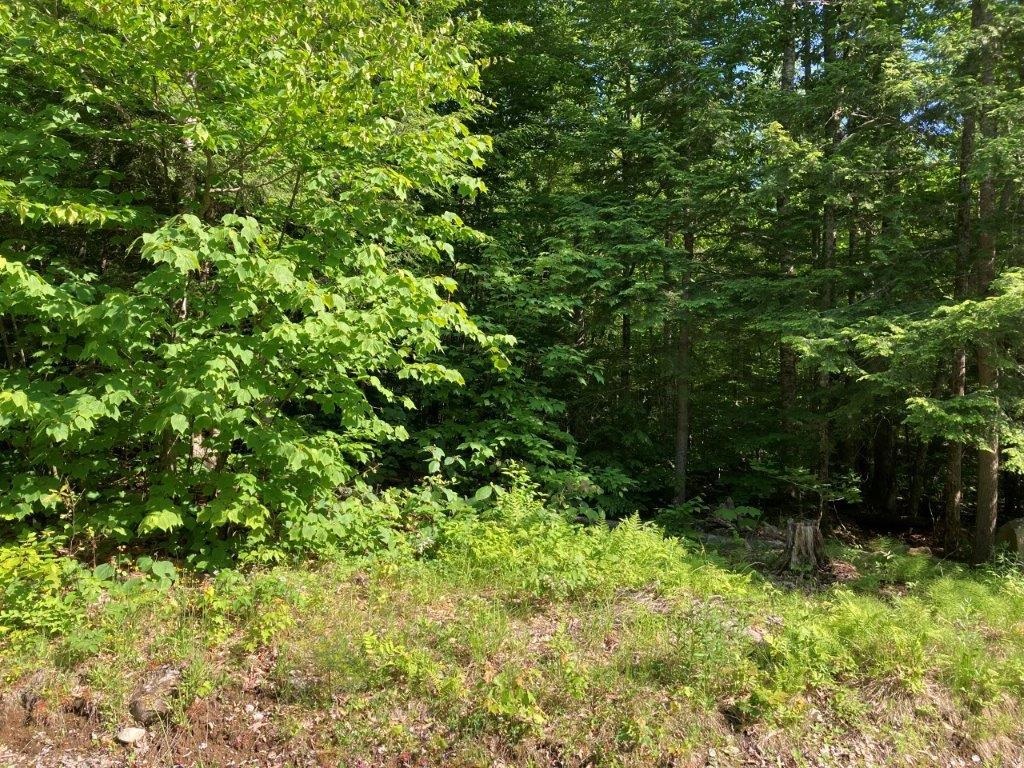 Canaan NH Real Estate Canaan New Hampshire Land / Acres For Sale page 1