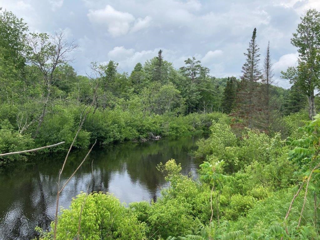 CANAAN NH Land for sale $$21,600 | 1.43 Acres  | Price Per Acre $0 