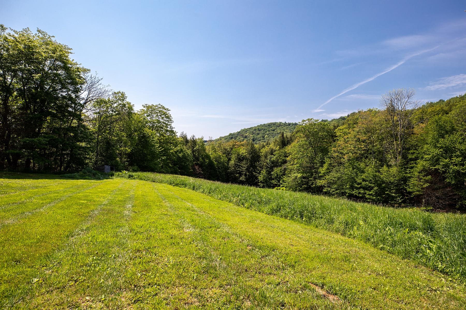For Sale 131 Whitney Hill Road, Tunbridge, VT 05077 1 Bed / 1 Full