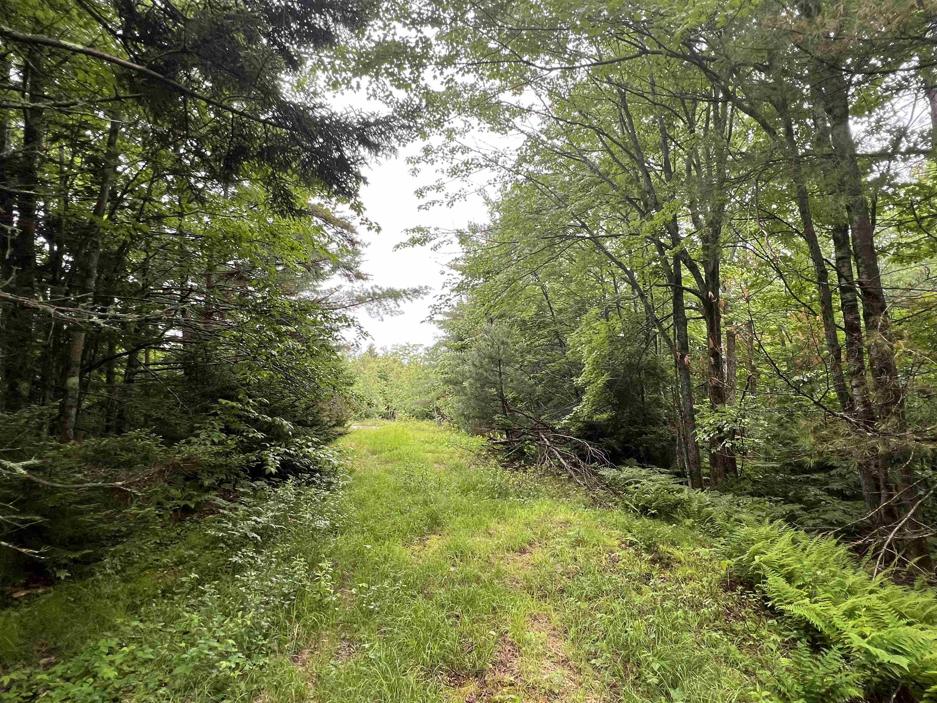 Unity NH Land / Acres For Sale page 1