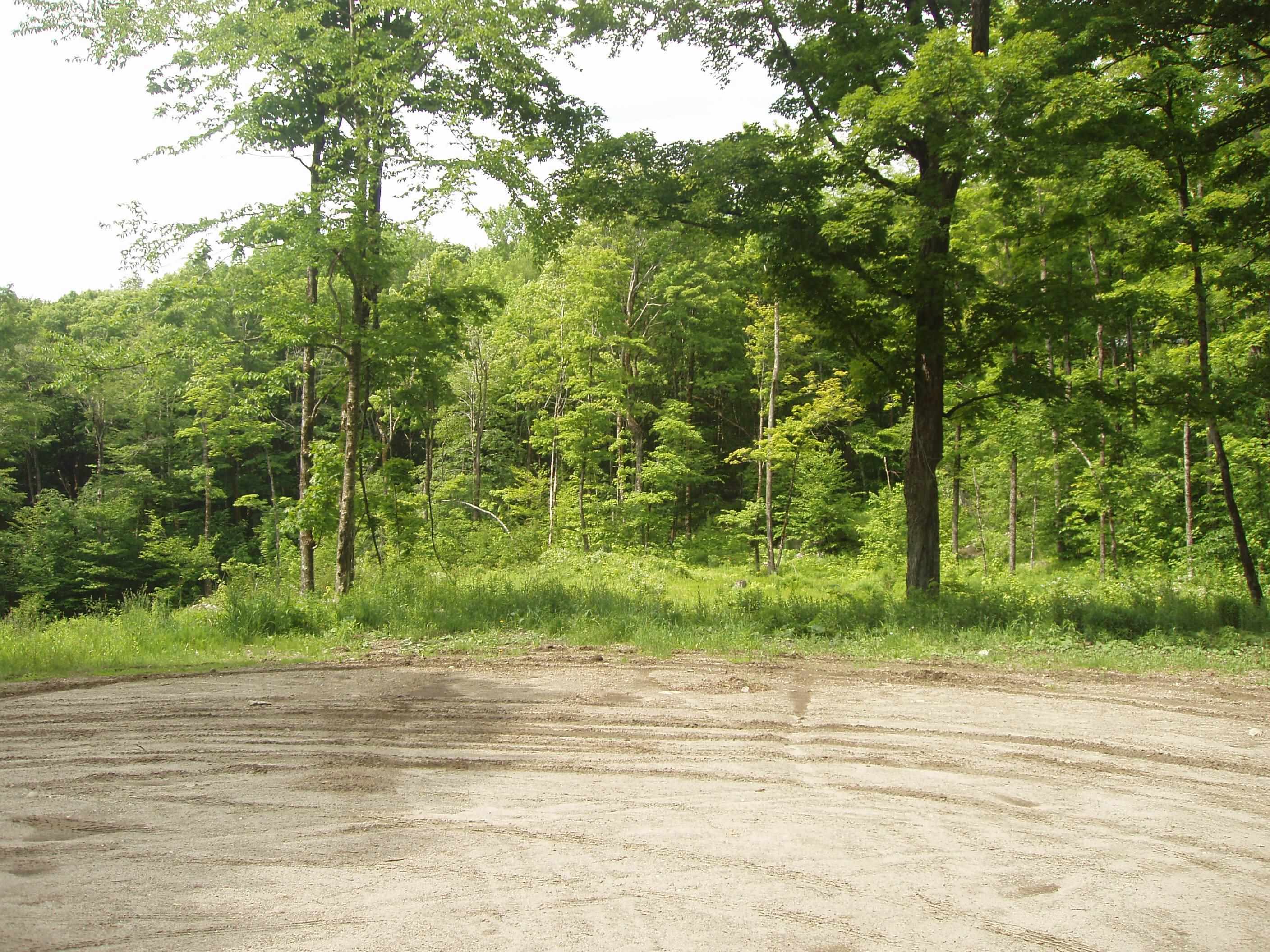 Lower Woods and Water Road Lot 9, Winhall, VT 