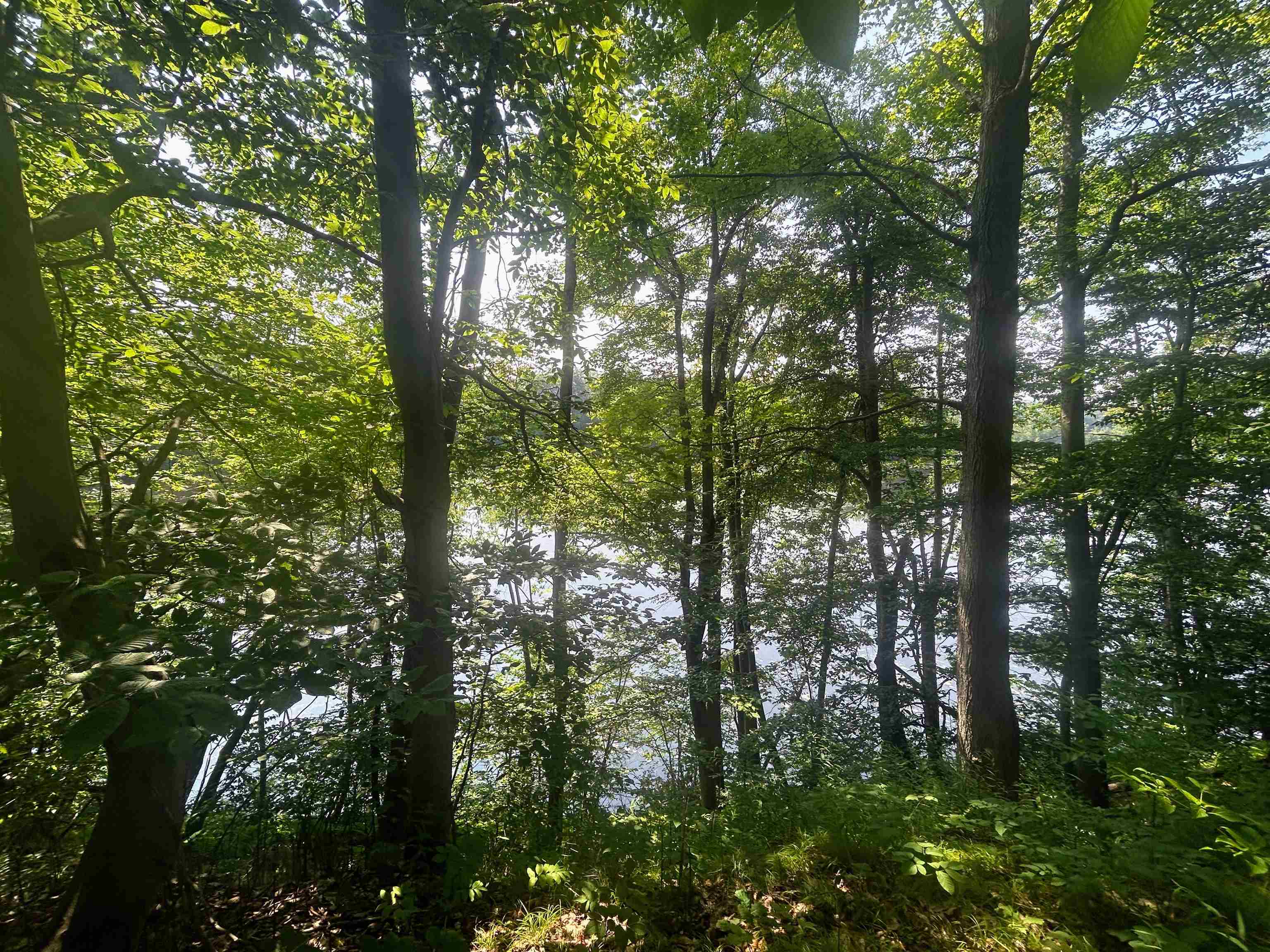 Springfield Vermont Land / Acres between 0 and 30000000 dollars page 1