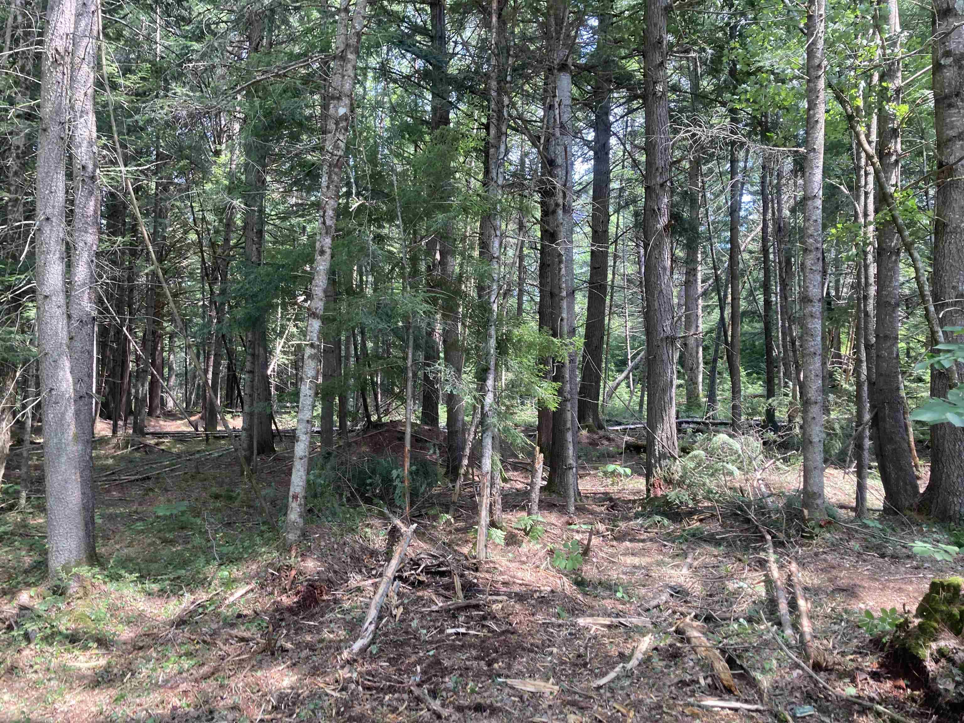 CANAAN NH Land / Acres for sale