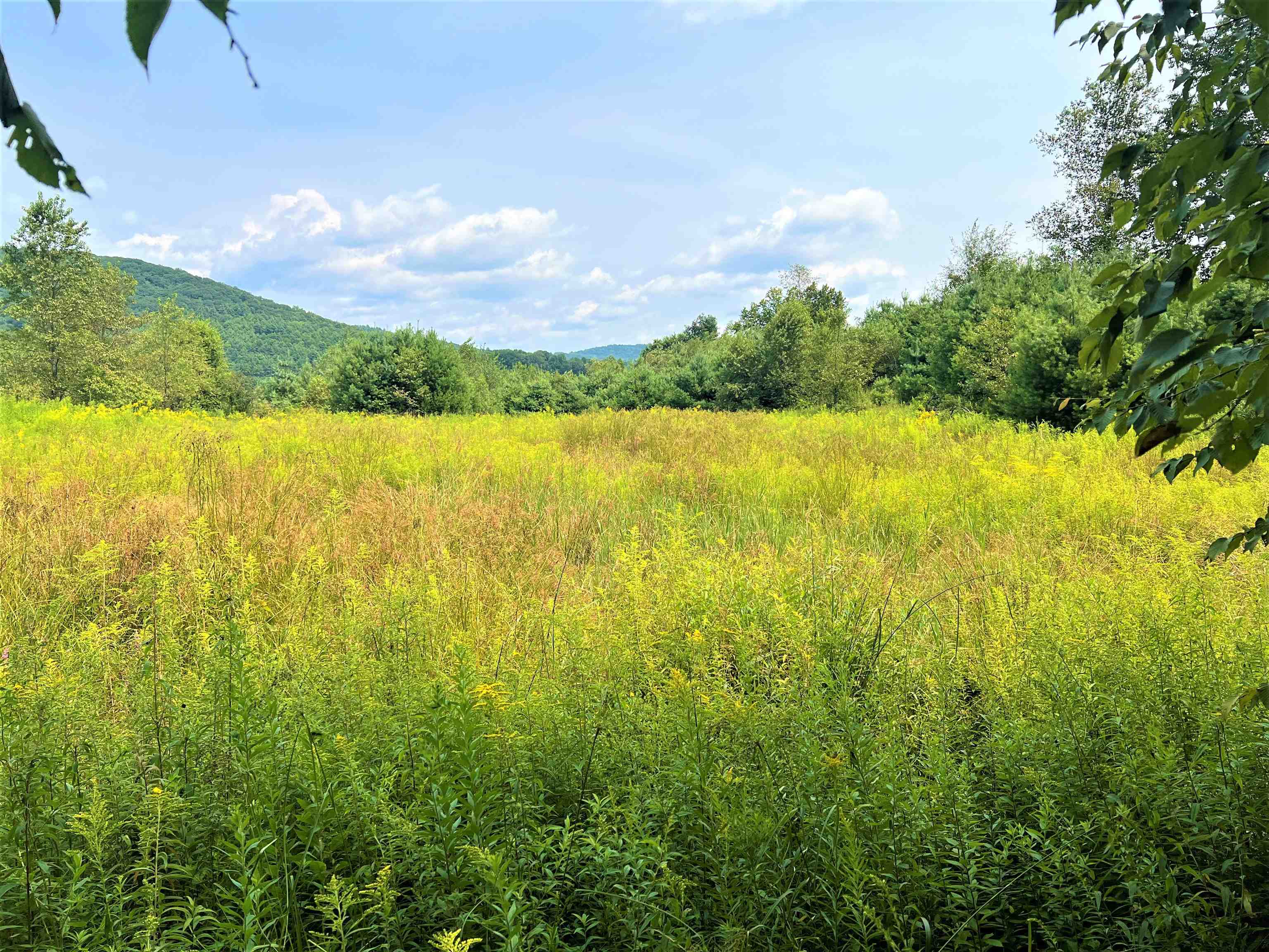 CHESTER VT LAND  for sale $$169,000 | 12.51 Acres  | Price Per Acre $0  | Total Lots 4