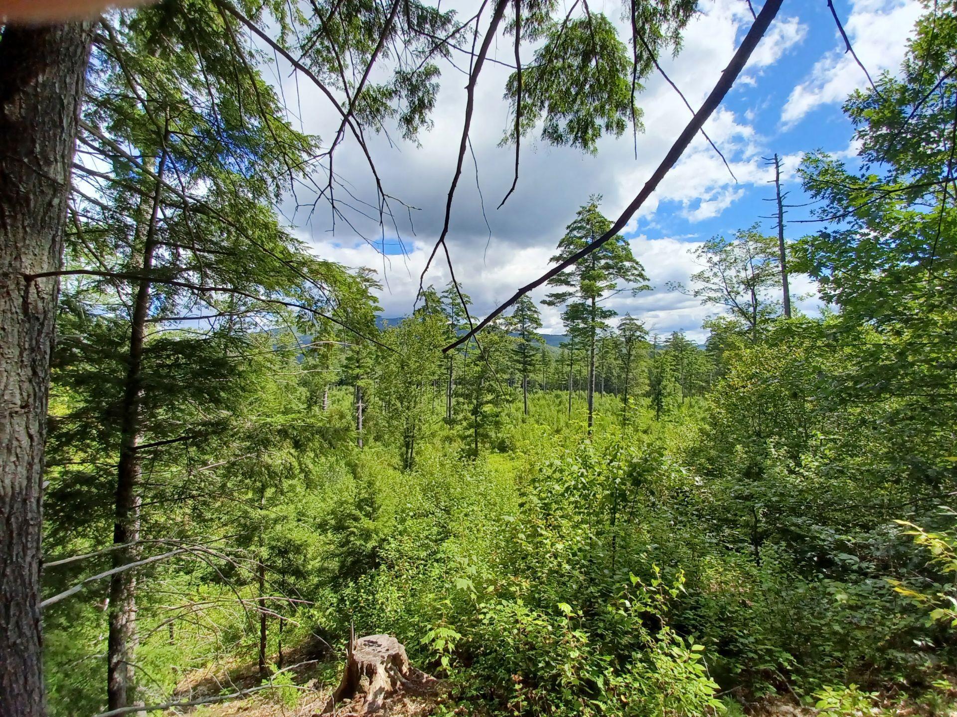 1 Rte 25, Rumney, NH 03266