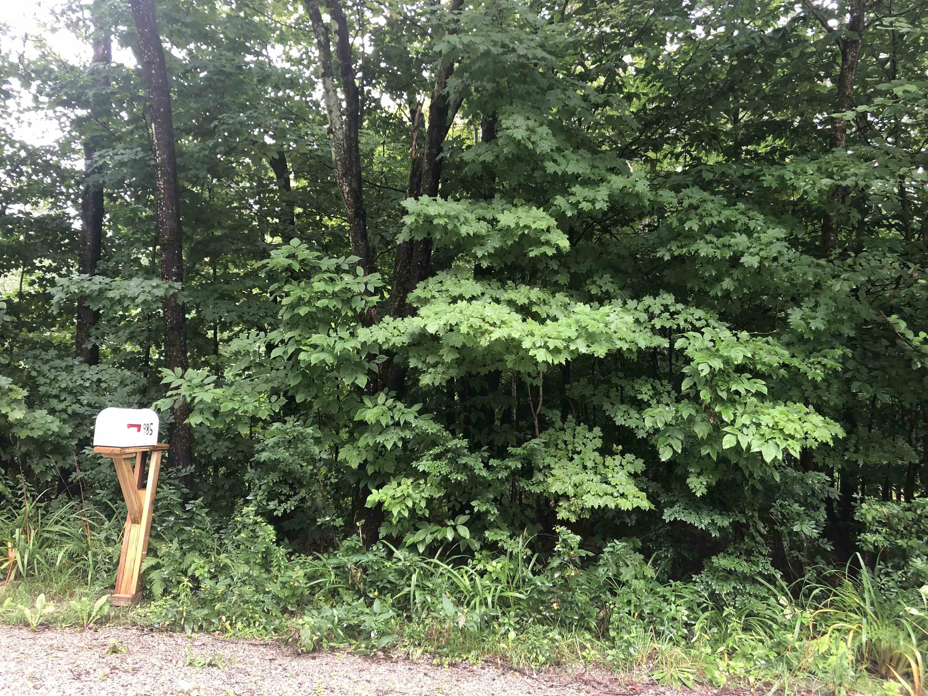 An attractive one acre lot in the Chapel Hill...