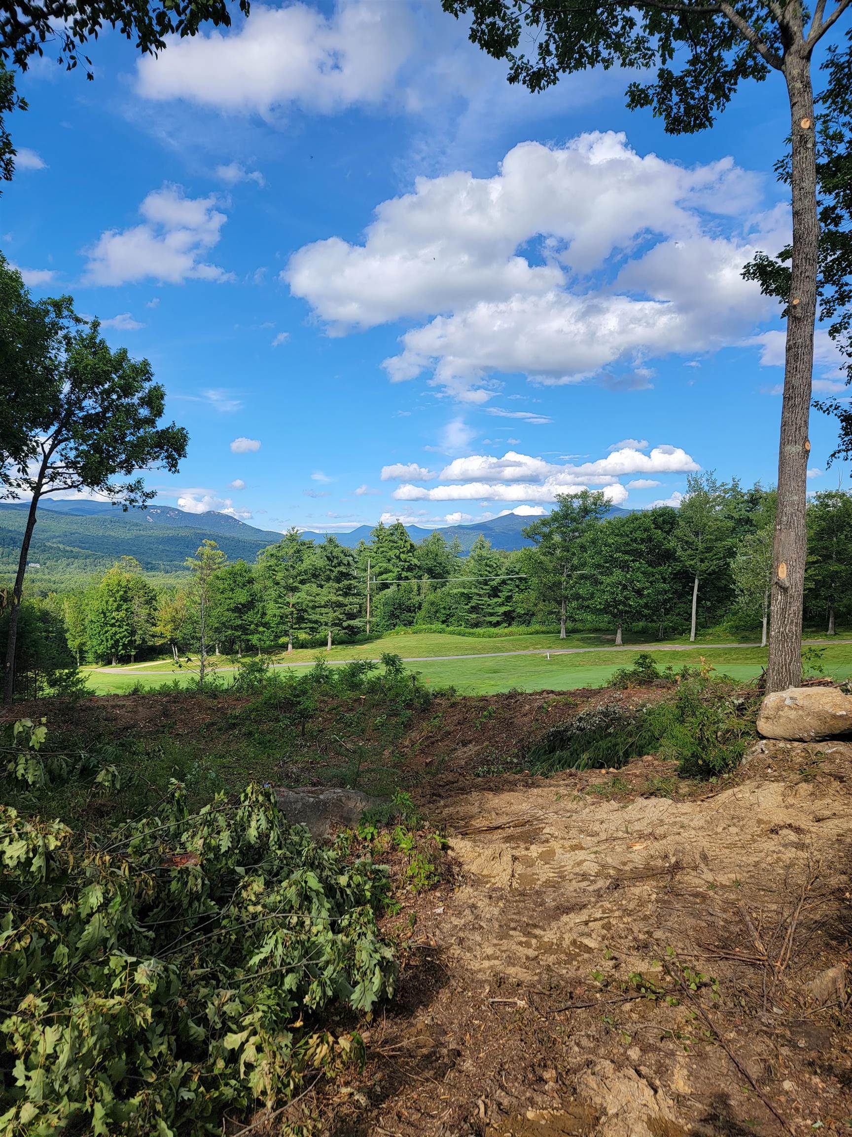 MLS #4966559 image #5