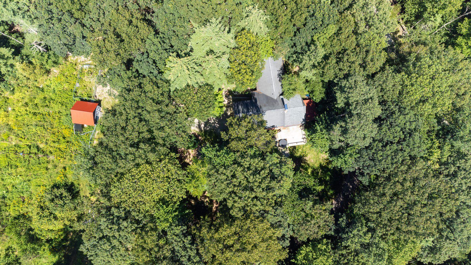 58 Acres!!! This cabin retreat is truly a hidden gem. The surrounding walking trails allow you to explore the beautiful nature that surrounds the property. Imagine waking up in the morning and picking fresh fruit from your own fruit trees, or enjoying a peaceful walk along the trails. And for those who appreciate sustainable living, the chicken coop provides an opportunity to raise your own chickens and enjoy fresh eggs.  Inside the cabin, you'll find a spacious and comfortable living space. The 3557 square-foot home offers plenty of room for relaxation and entertaining. The rustic charm of the cabin creates a cozy atmosphere that is perfect for unwinding after a long day.  Whether you're looking for a peaceful retreat or a place to entertain family and friends, this cabin has it all. Don't miss out on the opportunity to make this your dream home. Schedule a showing today and start creating memories that will last a lifetime.