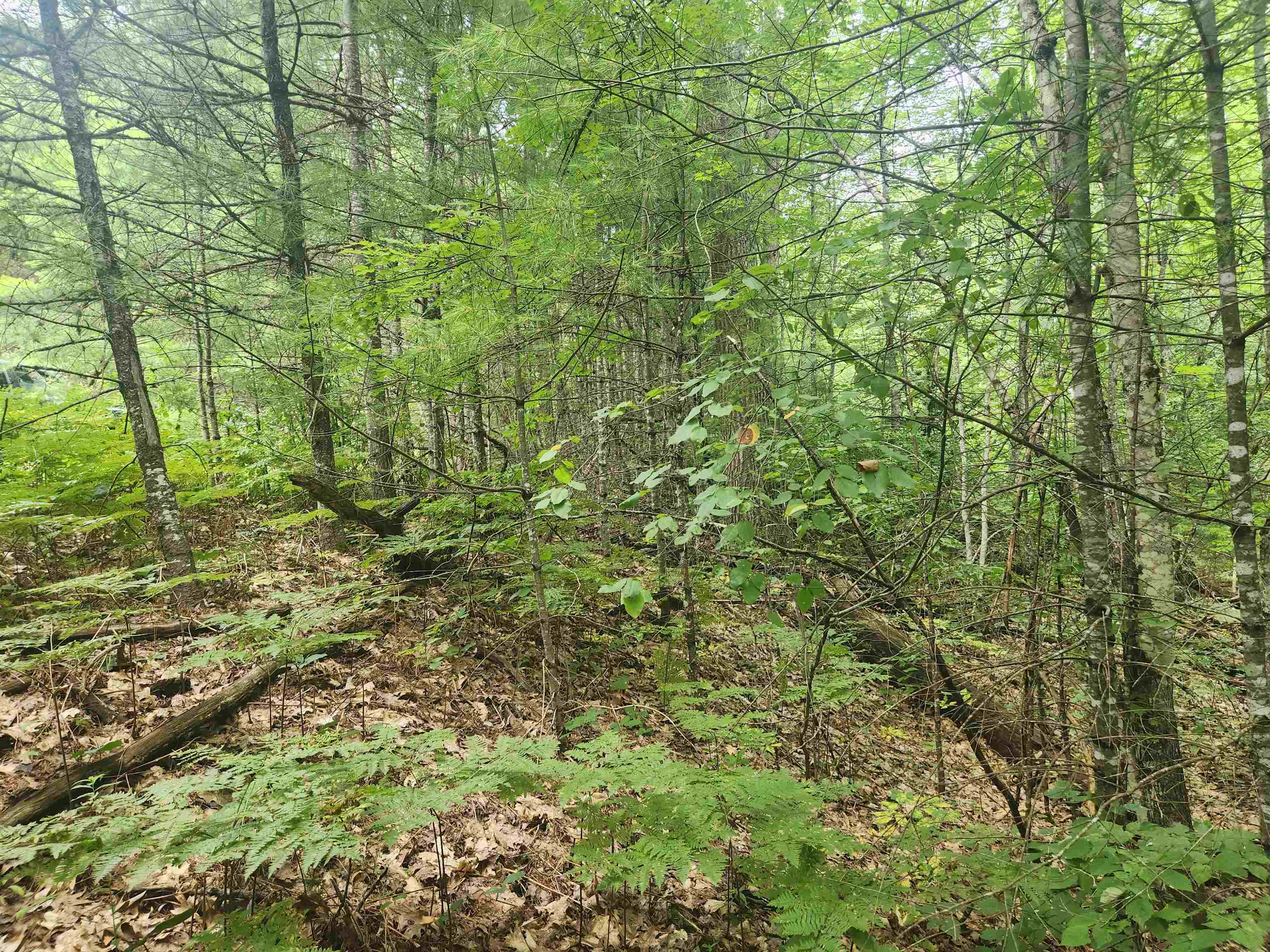 , Lisbon, NH MLS 4967954 Verani Realty