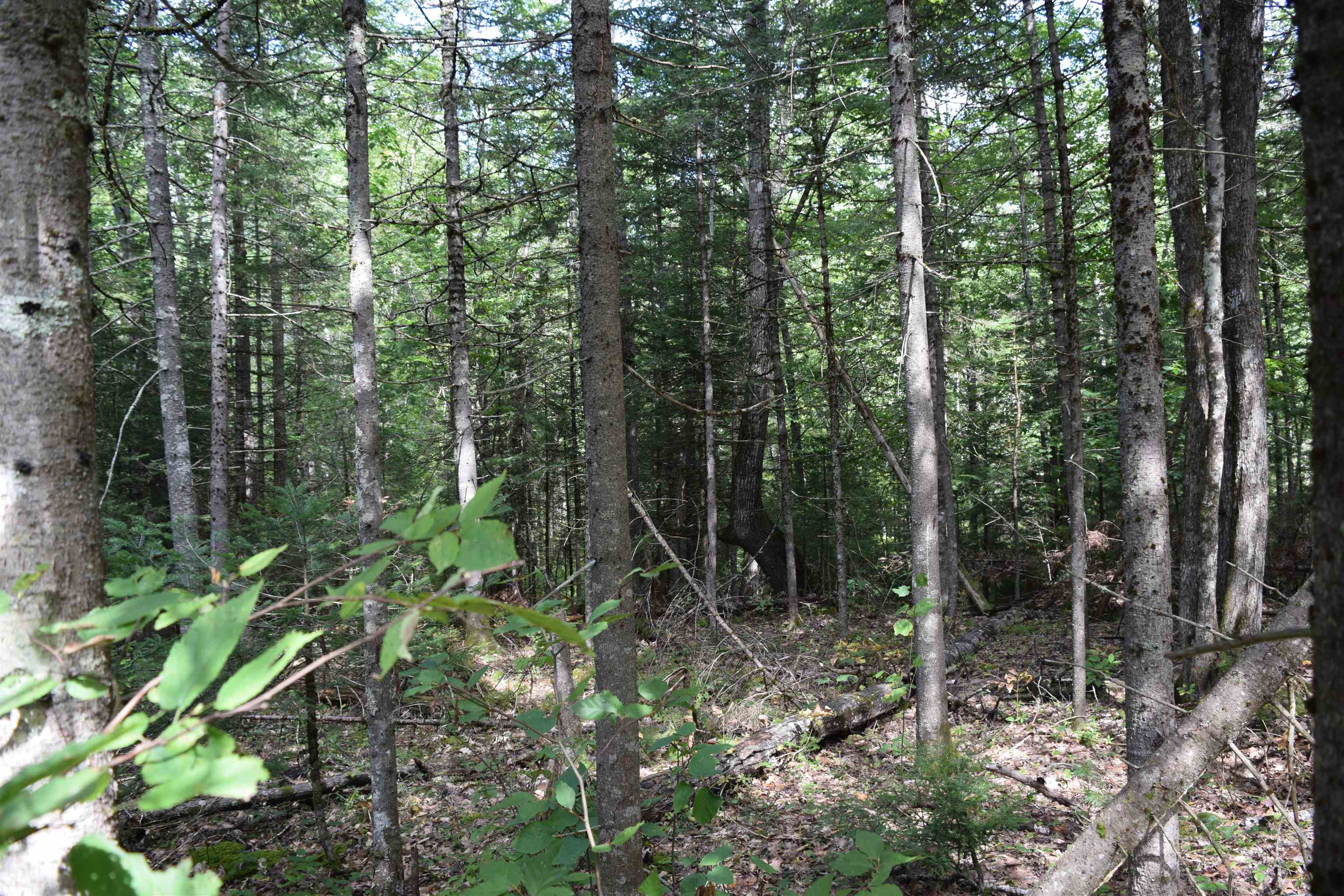 Lot 147 Valley Road147  Haverhill, NH Photo