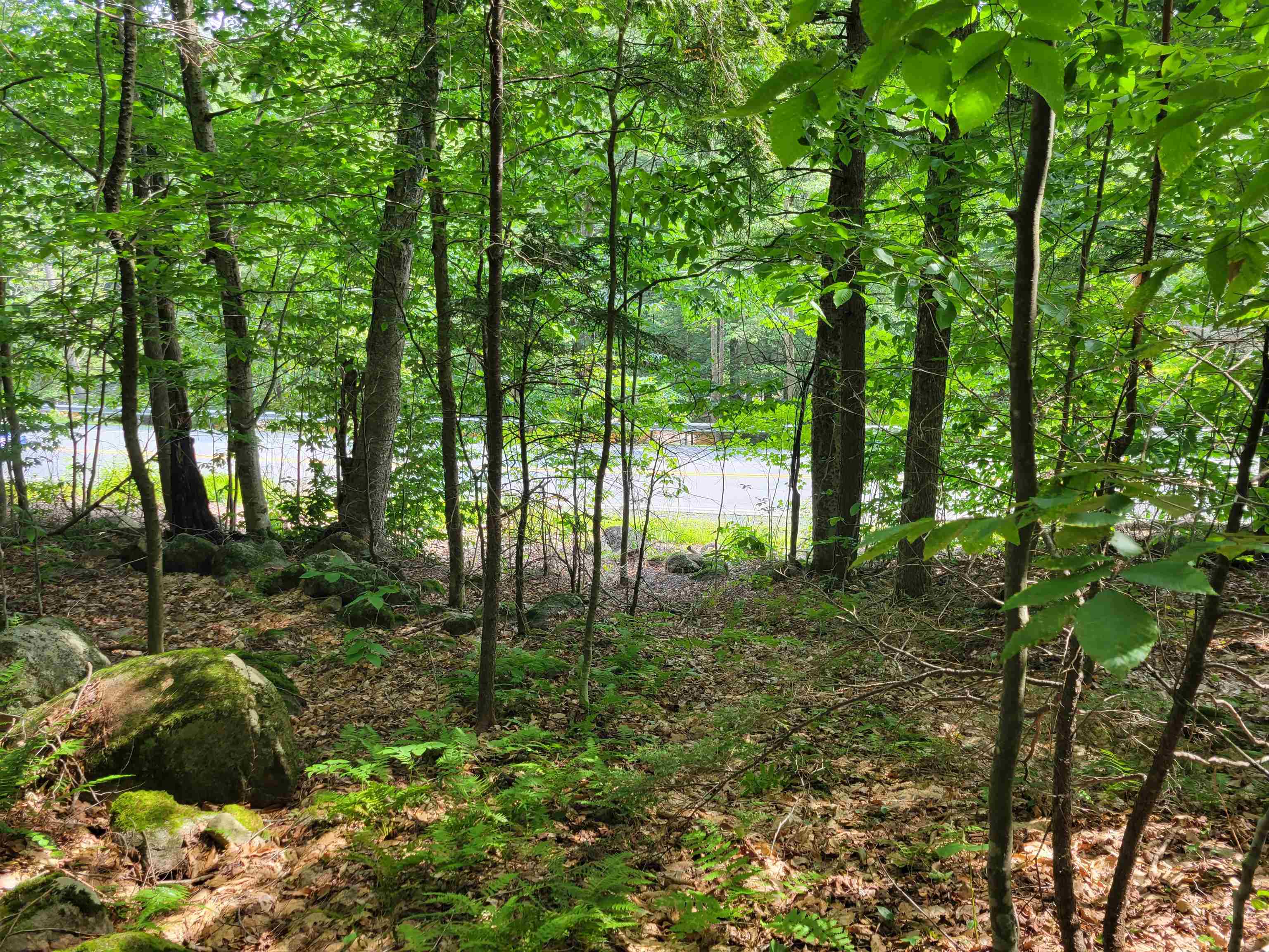 Lot 206-044 Lost River Road206-044  Woodstock, NH |  Photo