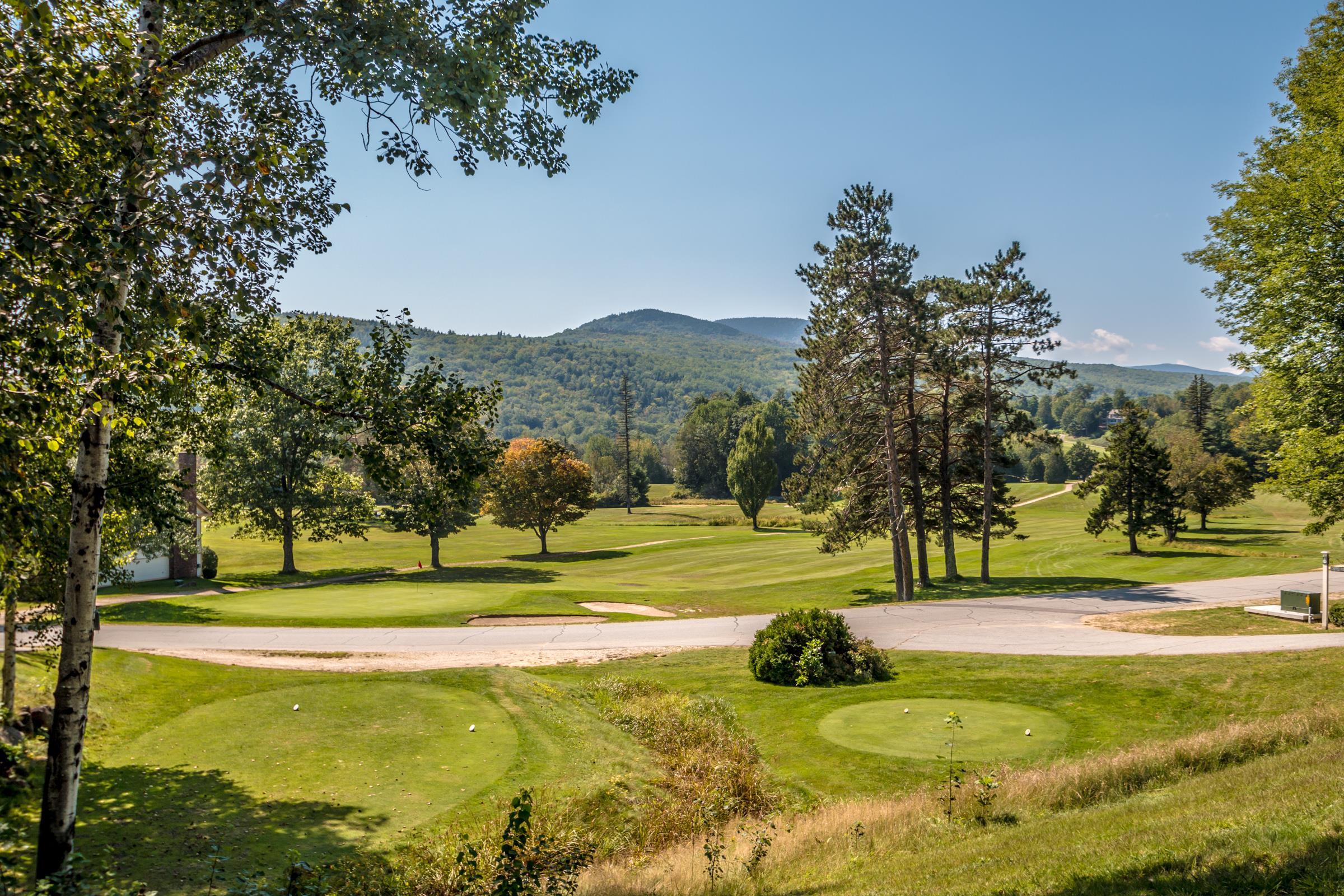 10A LANE, 10A, Jackson, NH 03846 Commercial PrimeMLS