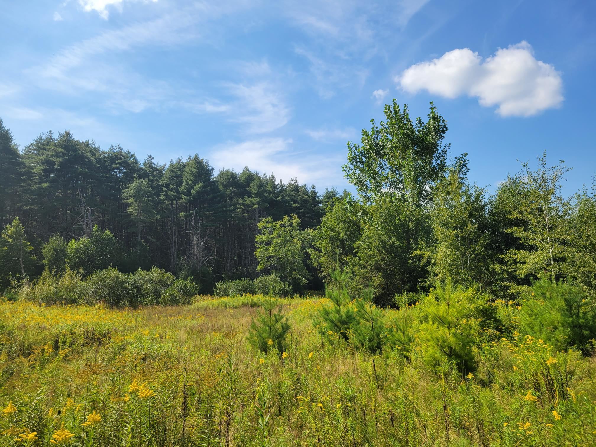 00 SOUTH VILLAGE ROAD, Westmoreland, NH 03608 PrimeMLS