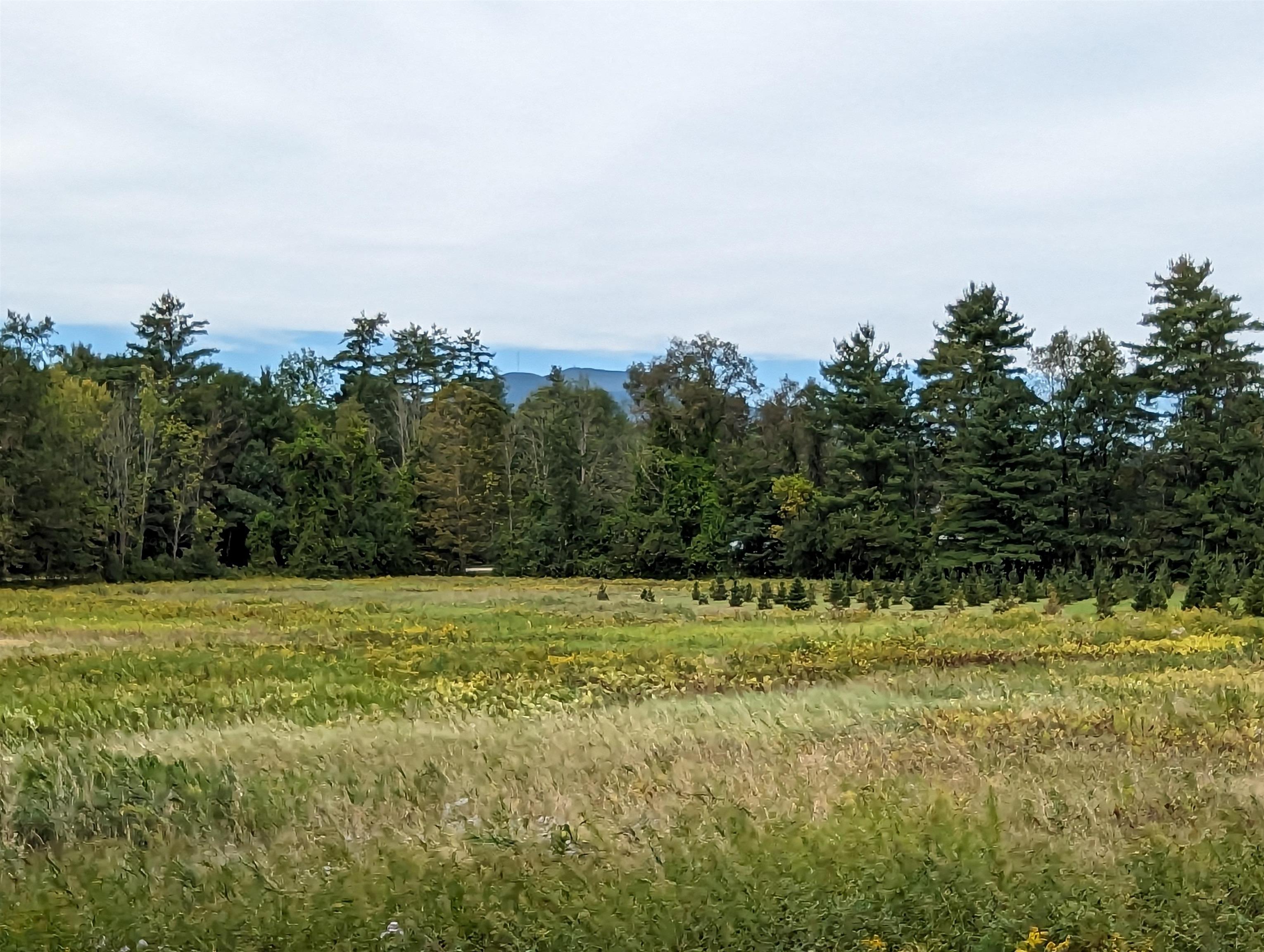 CLAREMONT NH LAND  for sale $$99,500 | 9.09 Acres  | Price Per Acre $0 