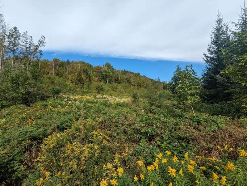 901 KEISER POND ROAD, Peacham, VT 05862 PrimeMLS