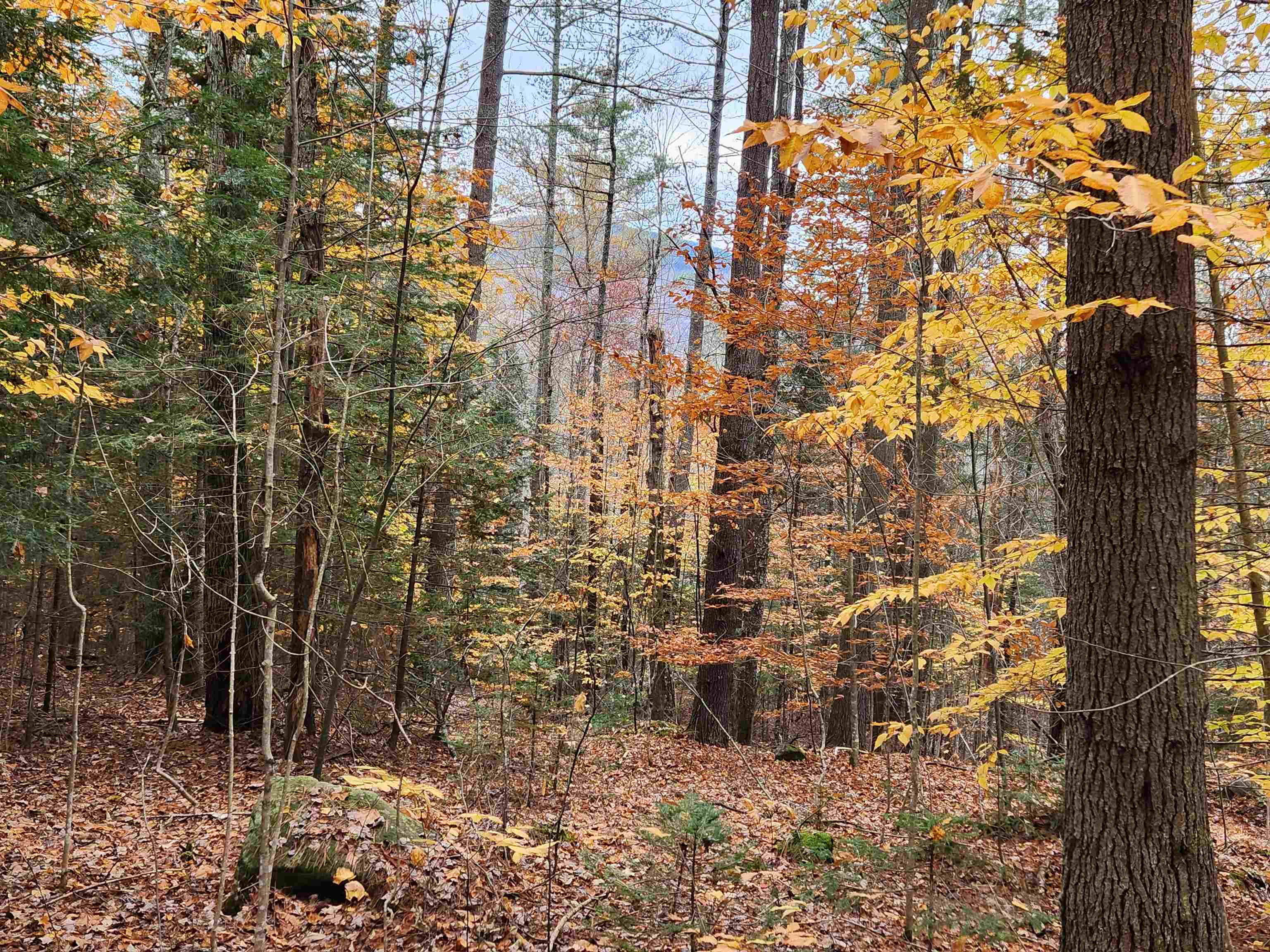 TOWN ROAD, Orford, NH 03777 PrimeMLS